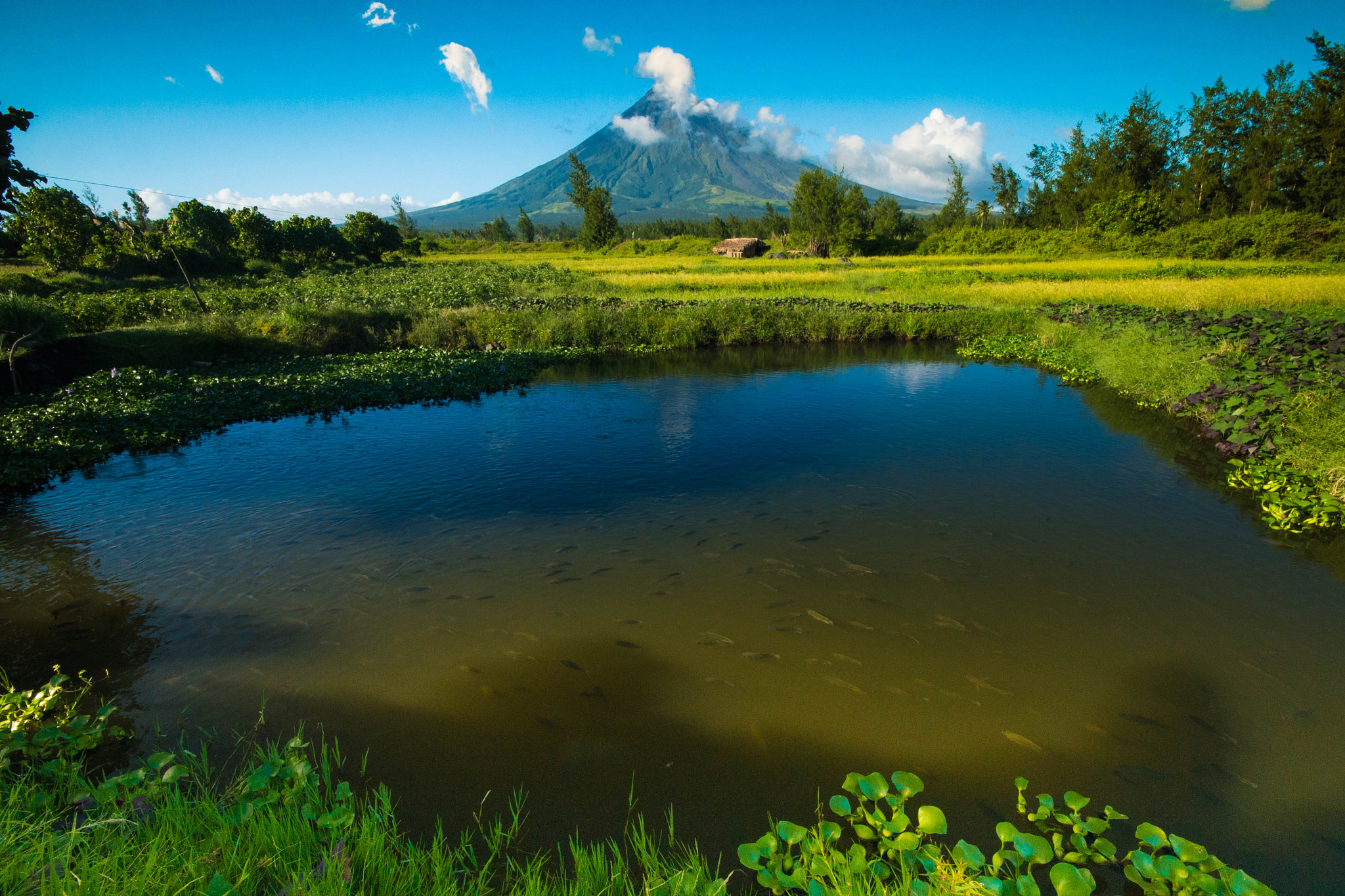 Sigma 10-20mm F4-5.6 EX DC HSM sample photo. Majestic mayon 2 photography