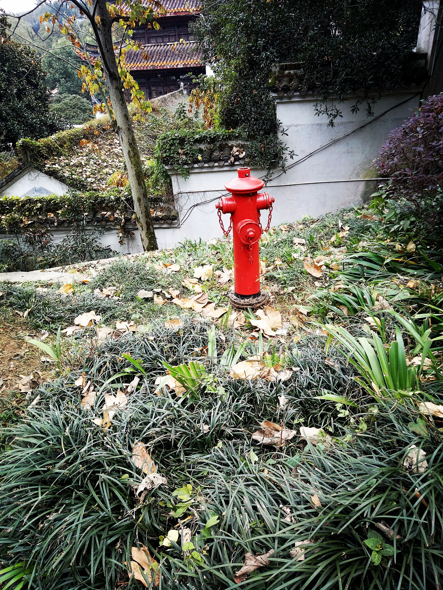 OPPO R7 Plus sample photo