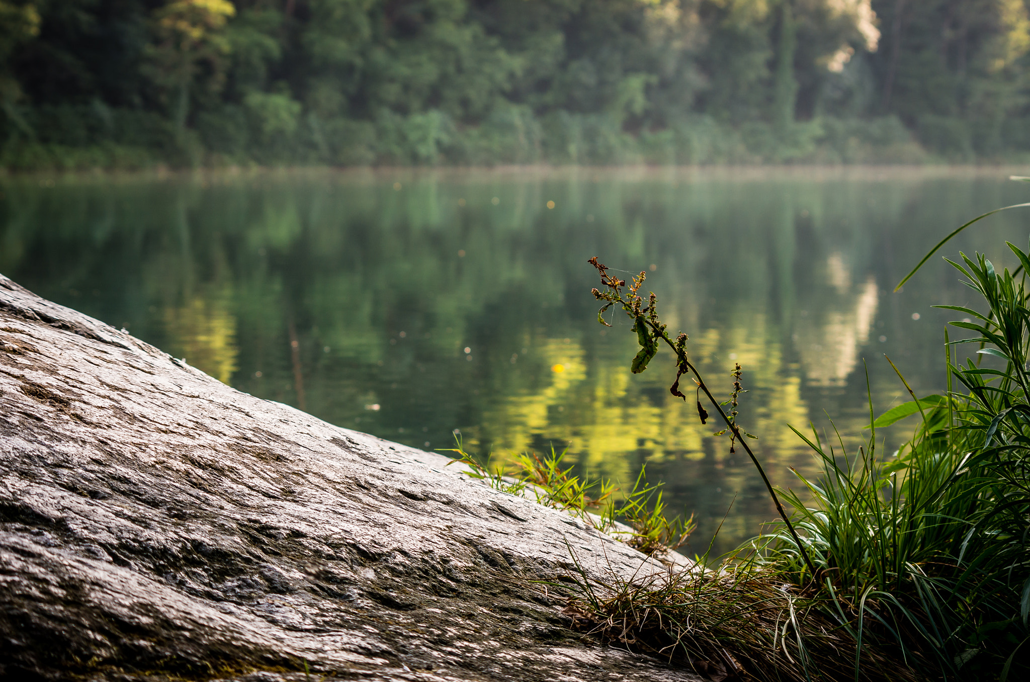 Pentax smc DA 55-300mm F4.0-5.8 ED sample photo. Little spot of paradise... photography