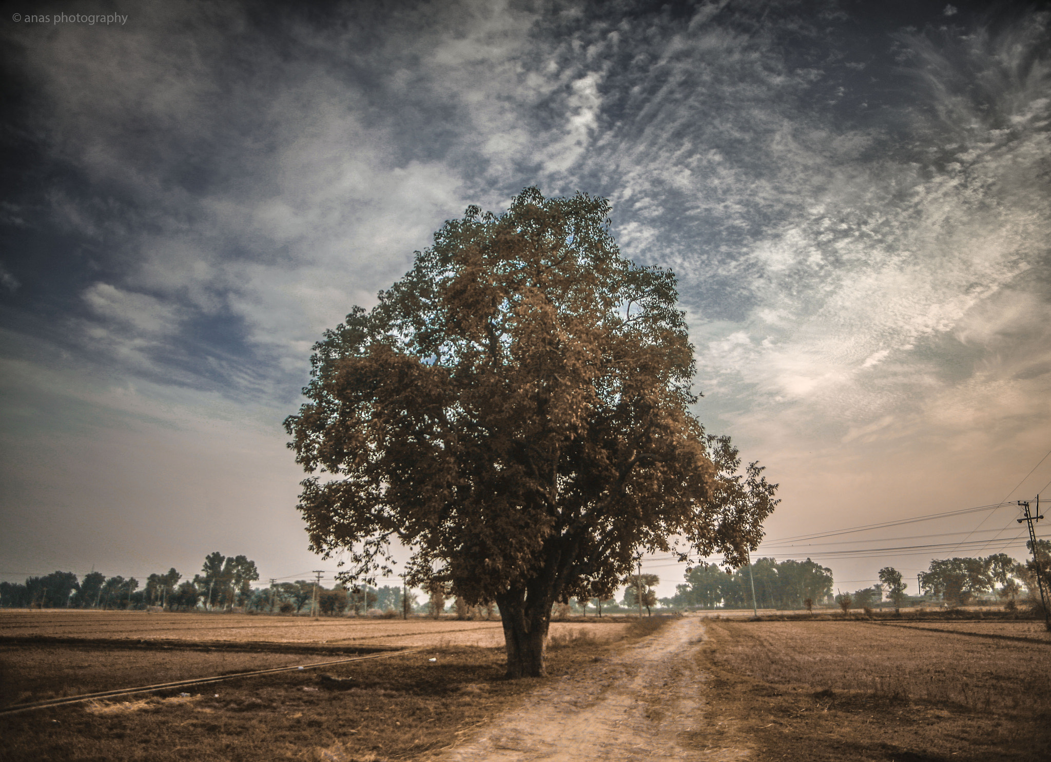 Canon EF 20-35mm F3.5-4.5 USM sample photo. Path less traveled photography