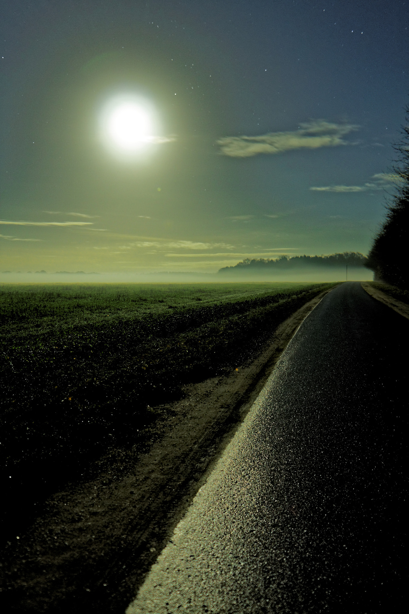 Sigma 18-50mm F2.8-4.5 DC OS HSM sample photo. Moon rise photography