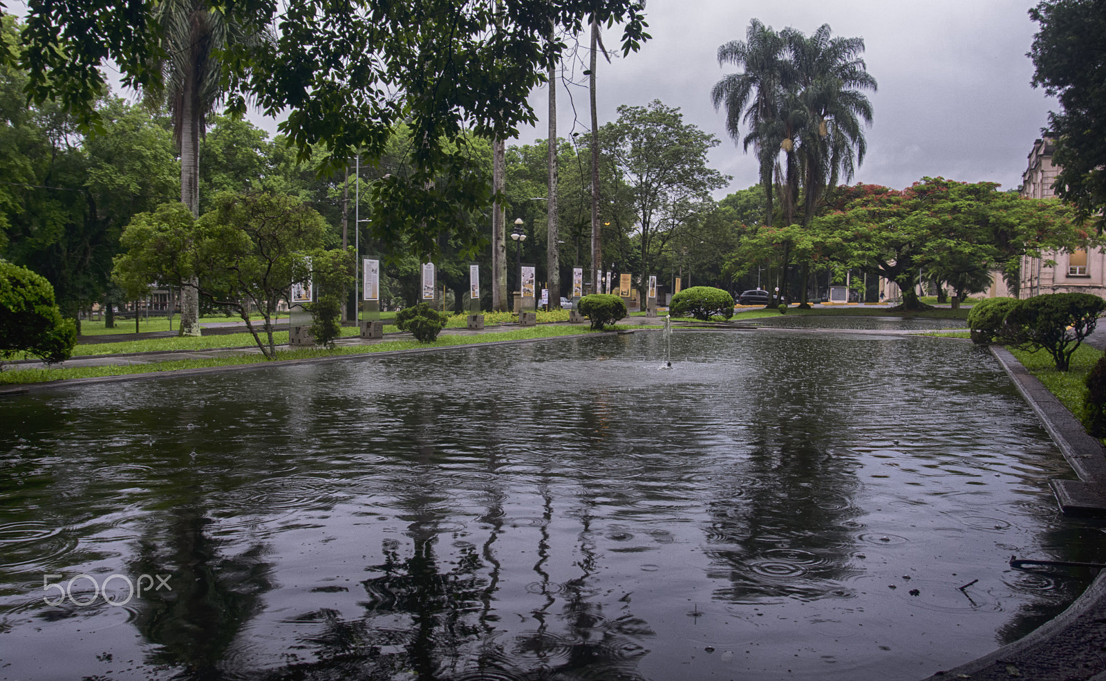 Nikon D5200 + Sigma 18-35mm F3.5-4.5 Aspherical sample photo. Manhã de chuva/rainny morning/mañana lluviosa photography