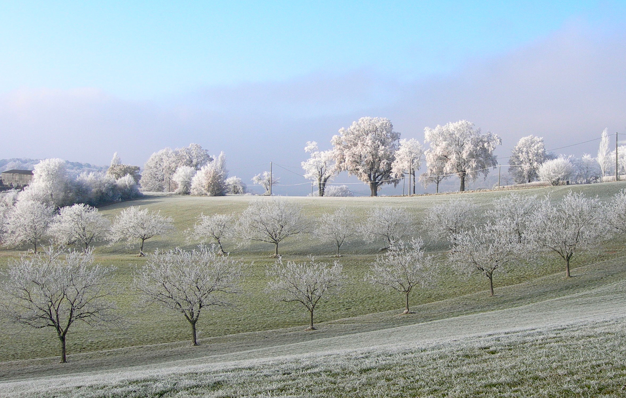 Nikon E7600 sample photo. Frozen in time... photography