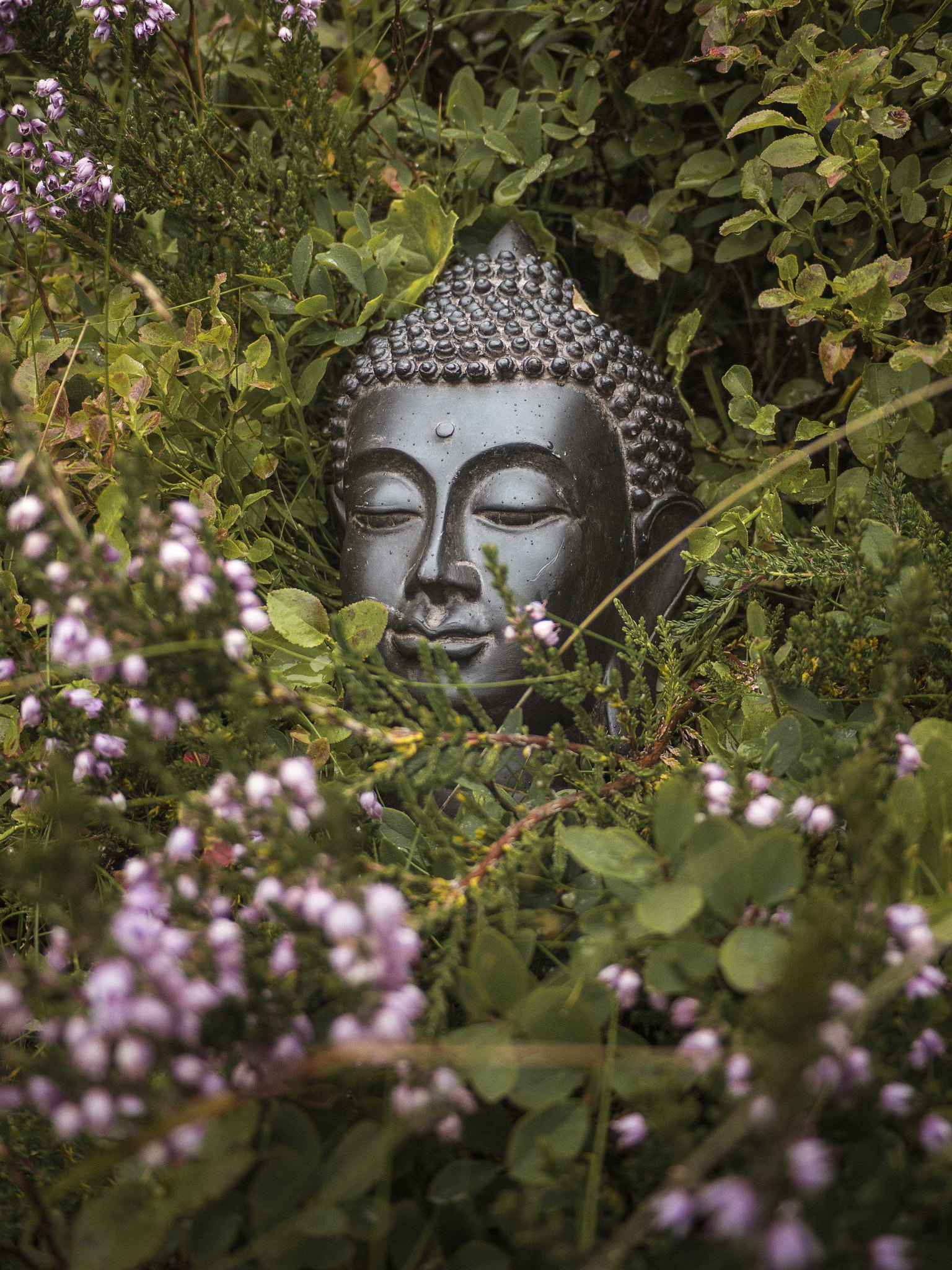 Panasonic Lumix DMC-GX7 sample photo. Buddha traveler photography