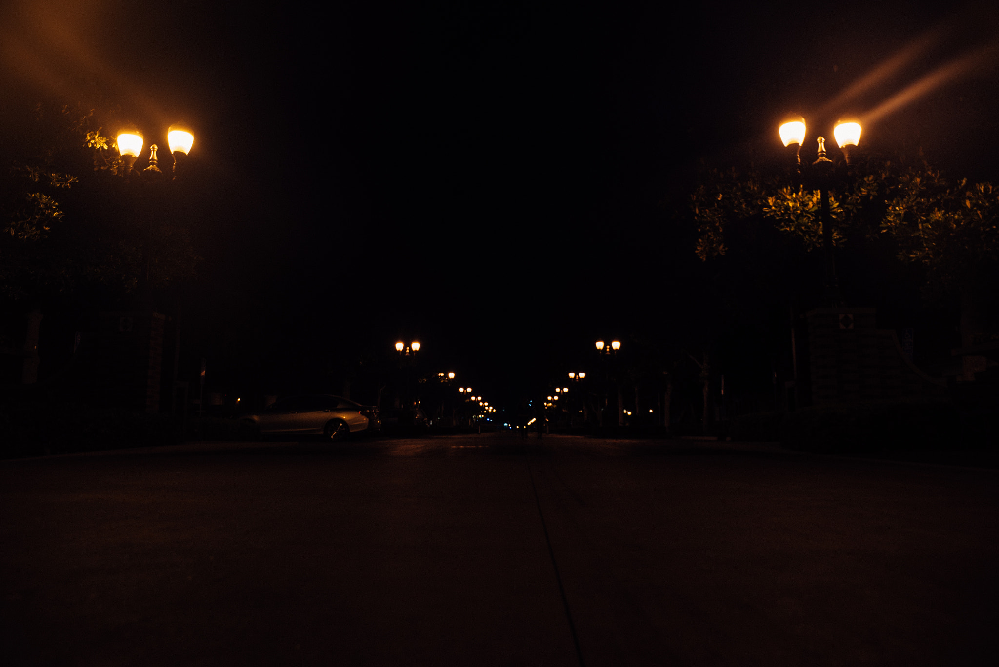 24-70mm F2.8 OSS sample photo. 15432482320.jpg photography