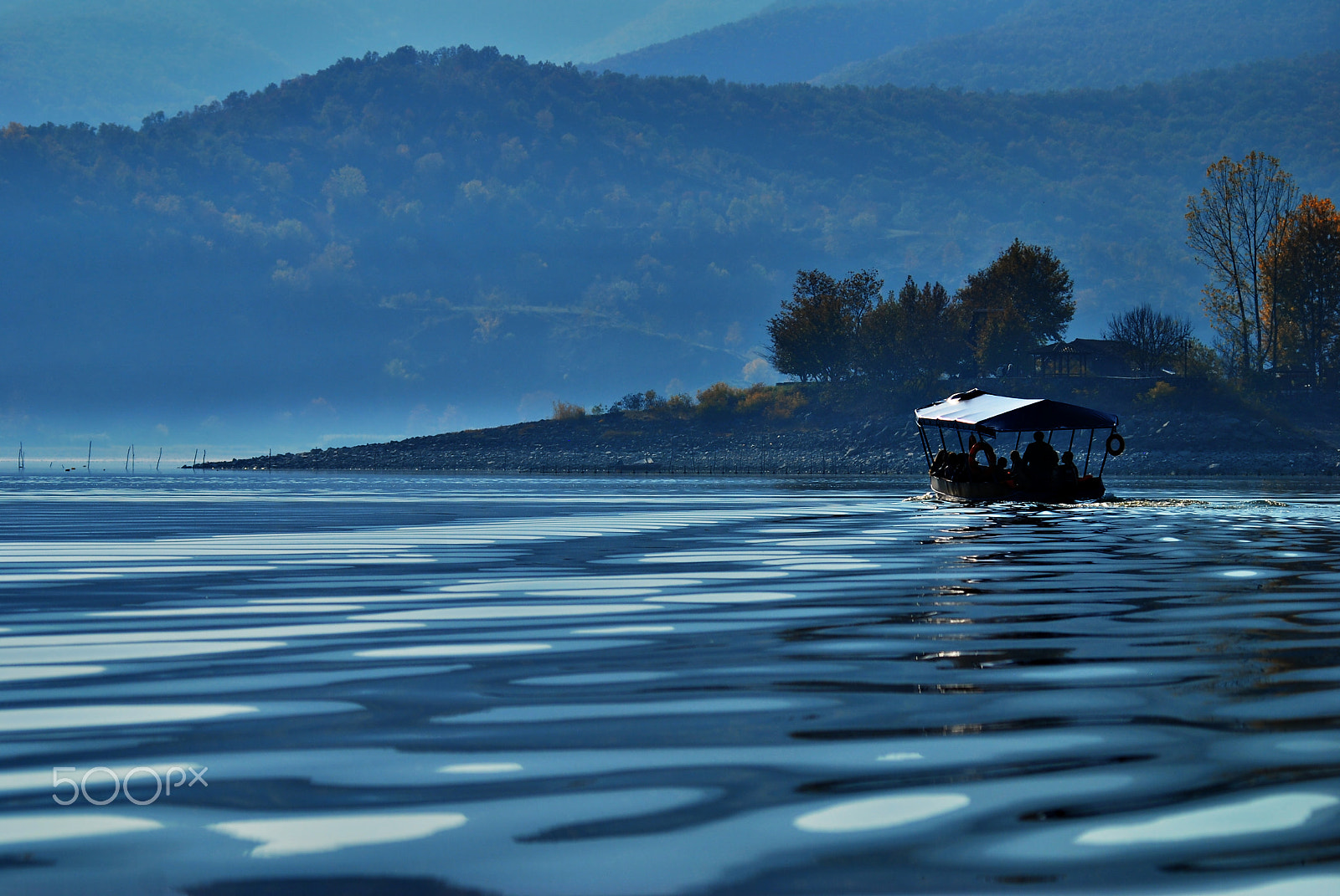 Sigma 120-400mm F4.5-5.6 DG OS HSM sample photo. Blue kerkini photography