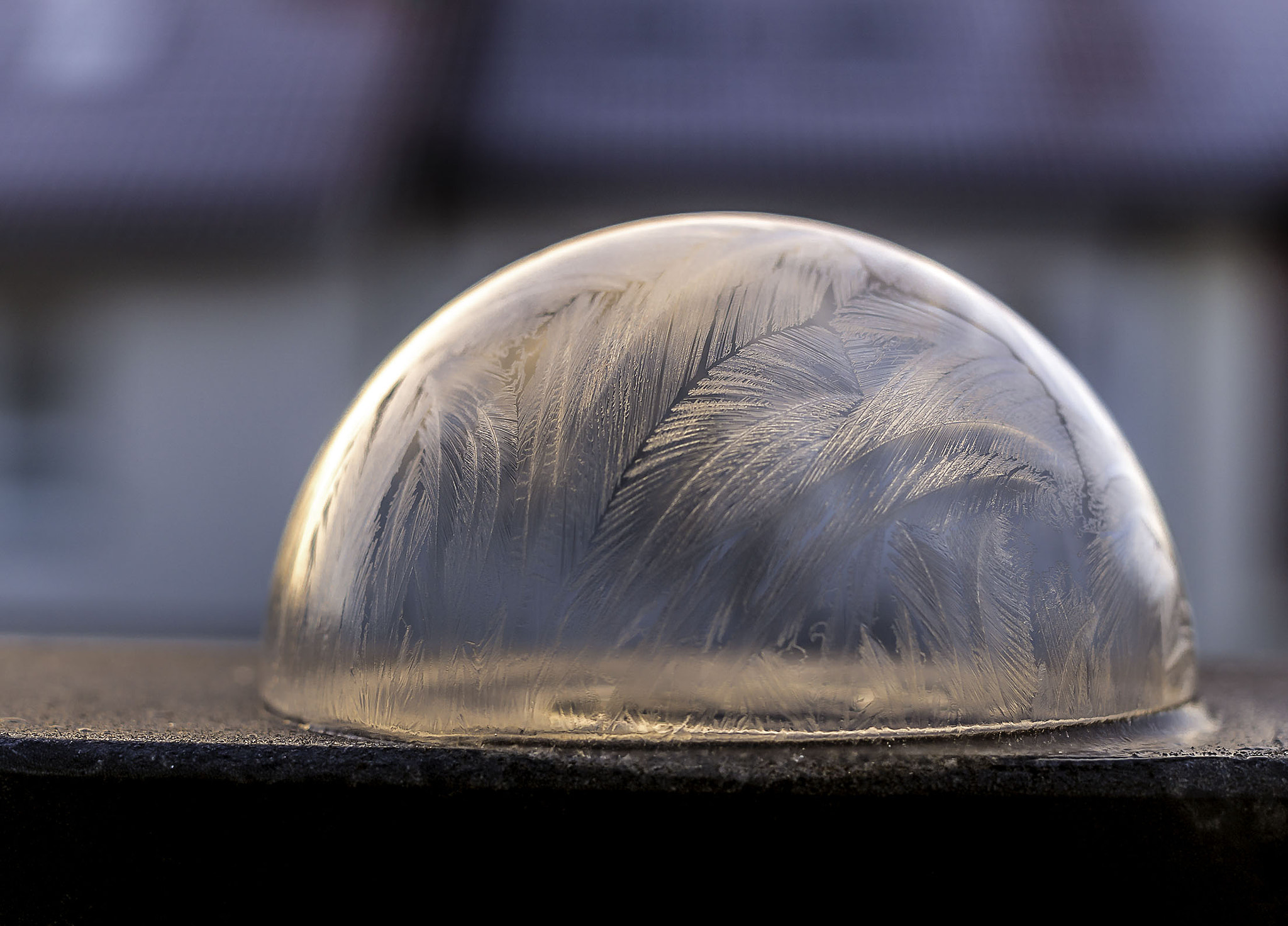 Sony ILCA-77M2 + Sony DT 35mm F1.8 SAM sample photo. Frozen photography