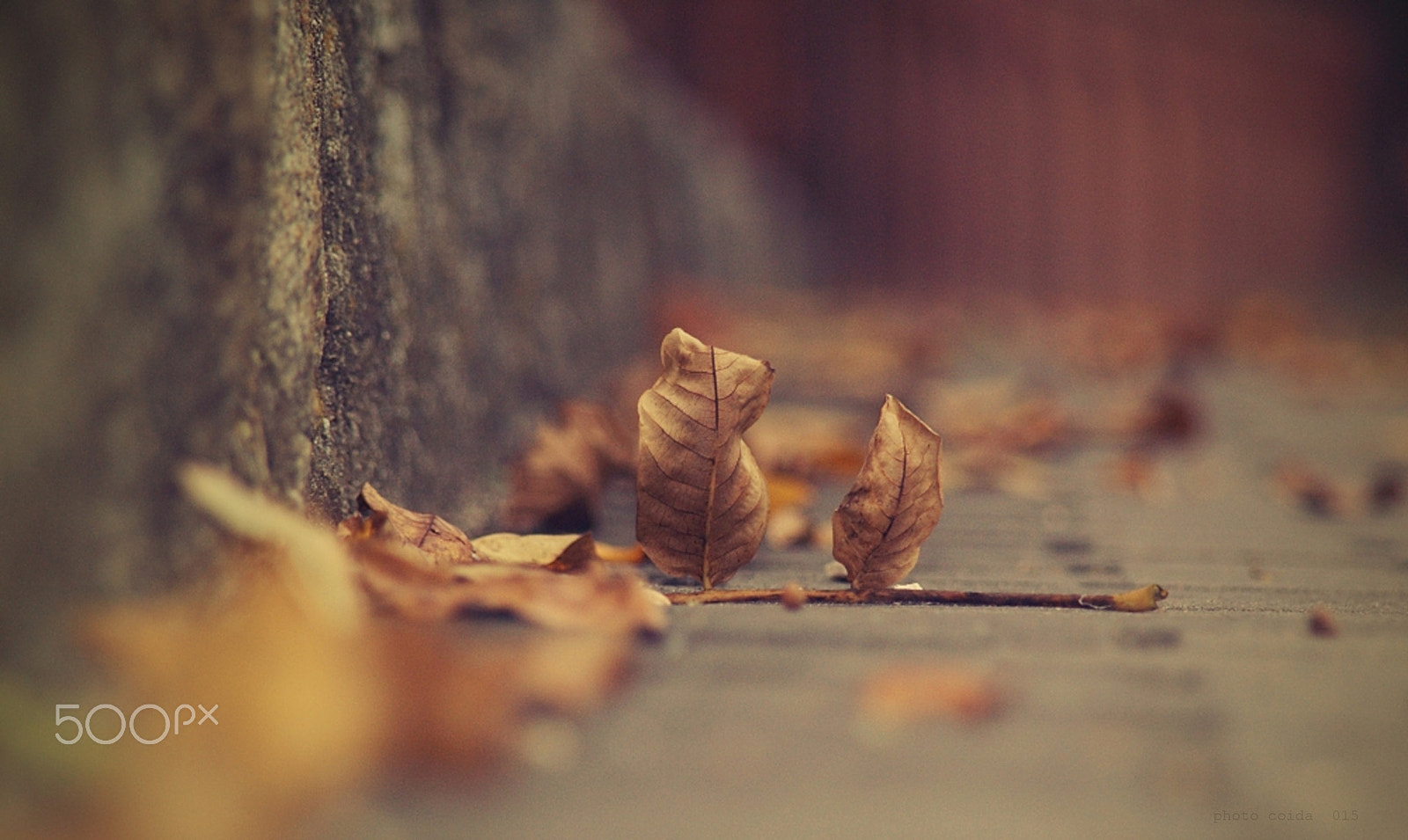 Sony Alpha DSLR-A300 + Sigma 18-200mm F3.5-6.3 DC sample photo. .path together... photography