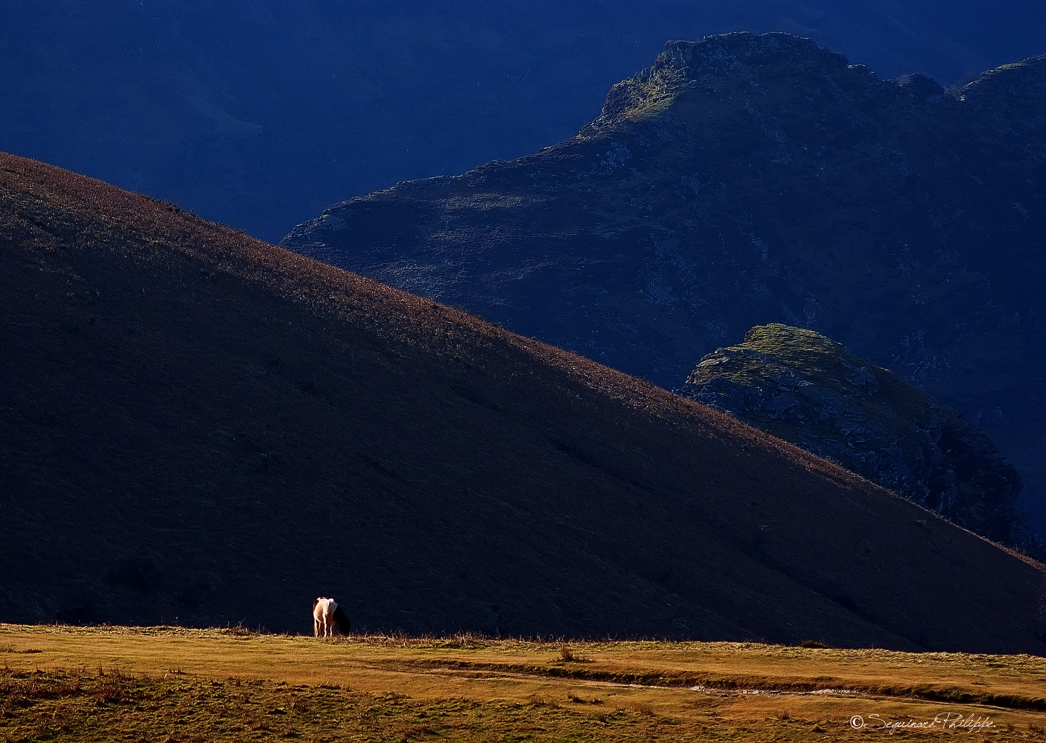 Pentax K10D + smc PENTAX-FA* 200mm F2.8 ED[IF] sample photo. Seguinard philippe photographie photography