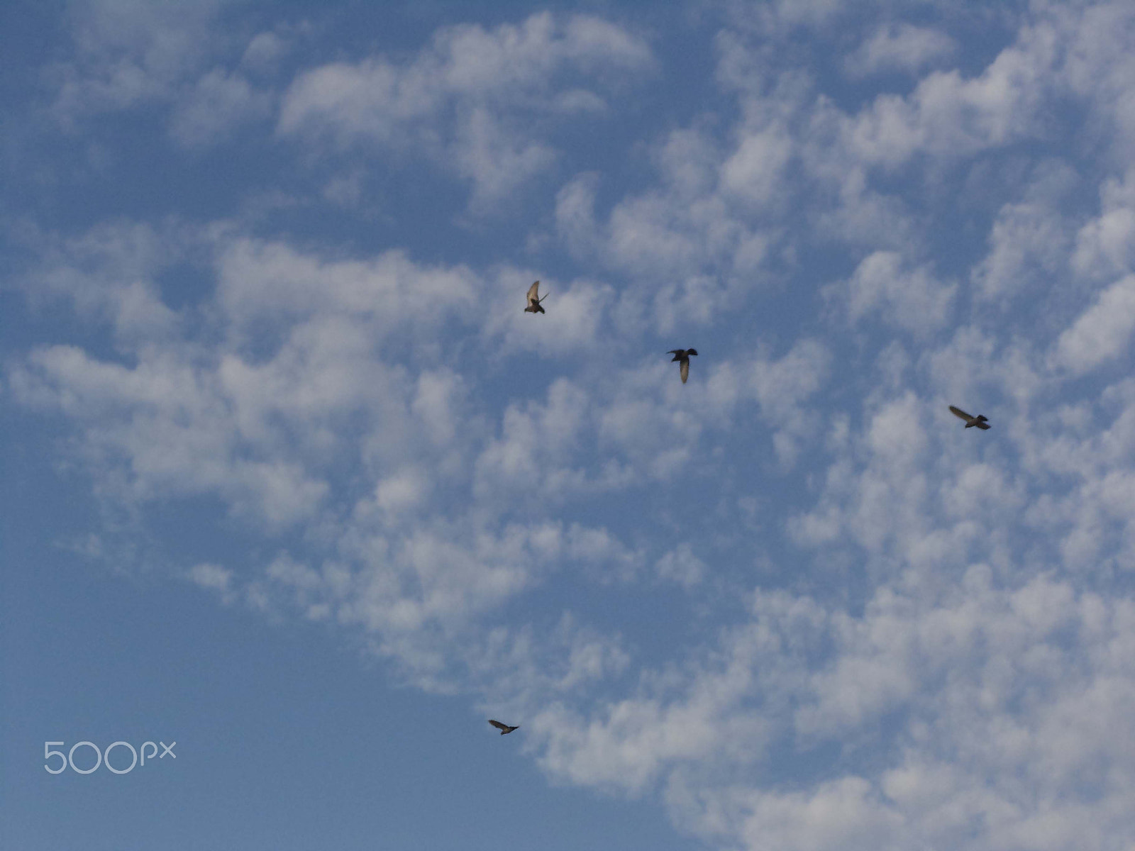 Sony DSC-S3000 sample photo. Sky photography