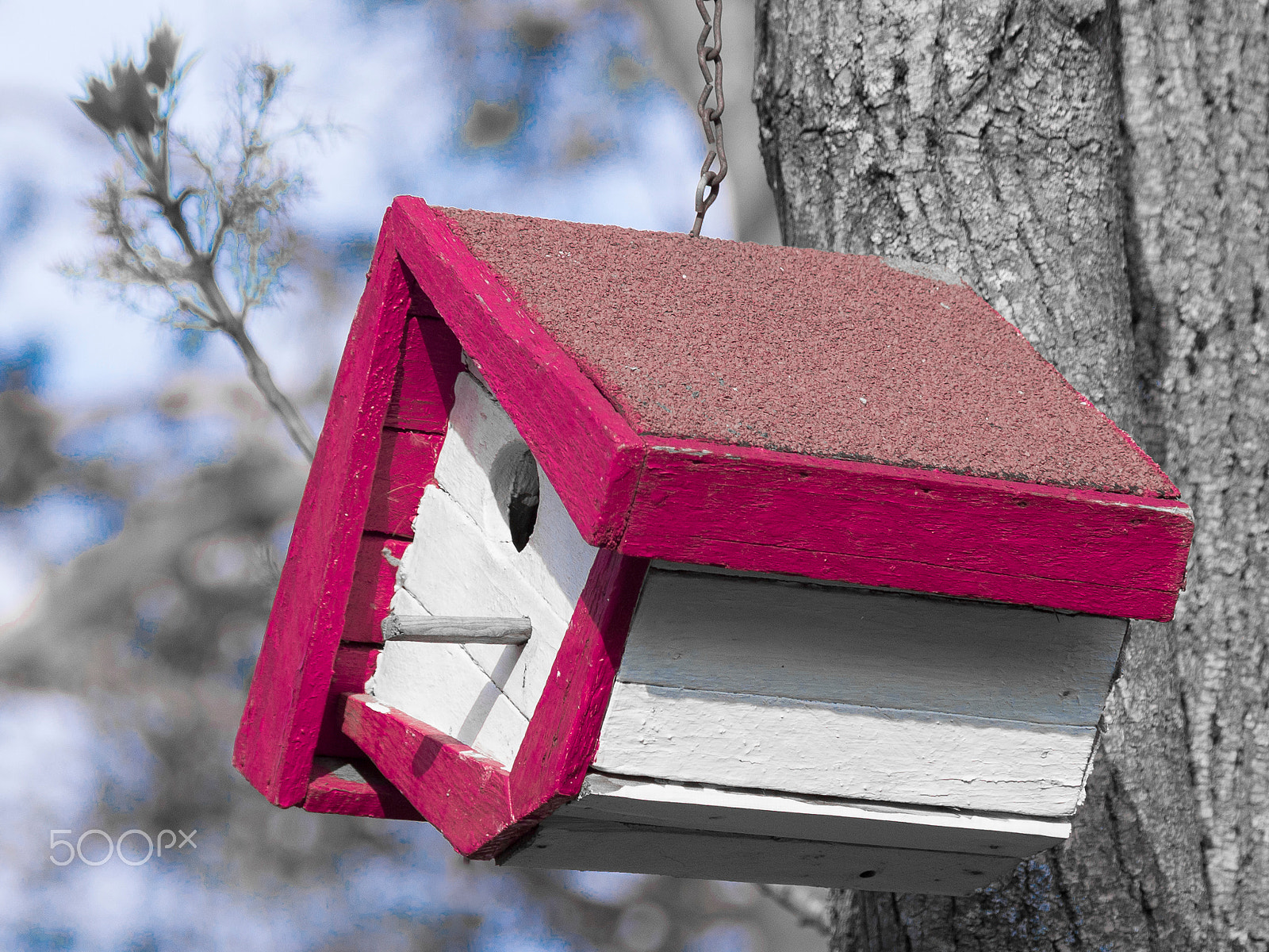 Olympus PEN E-PL5 sample photo. Bird house photography