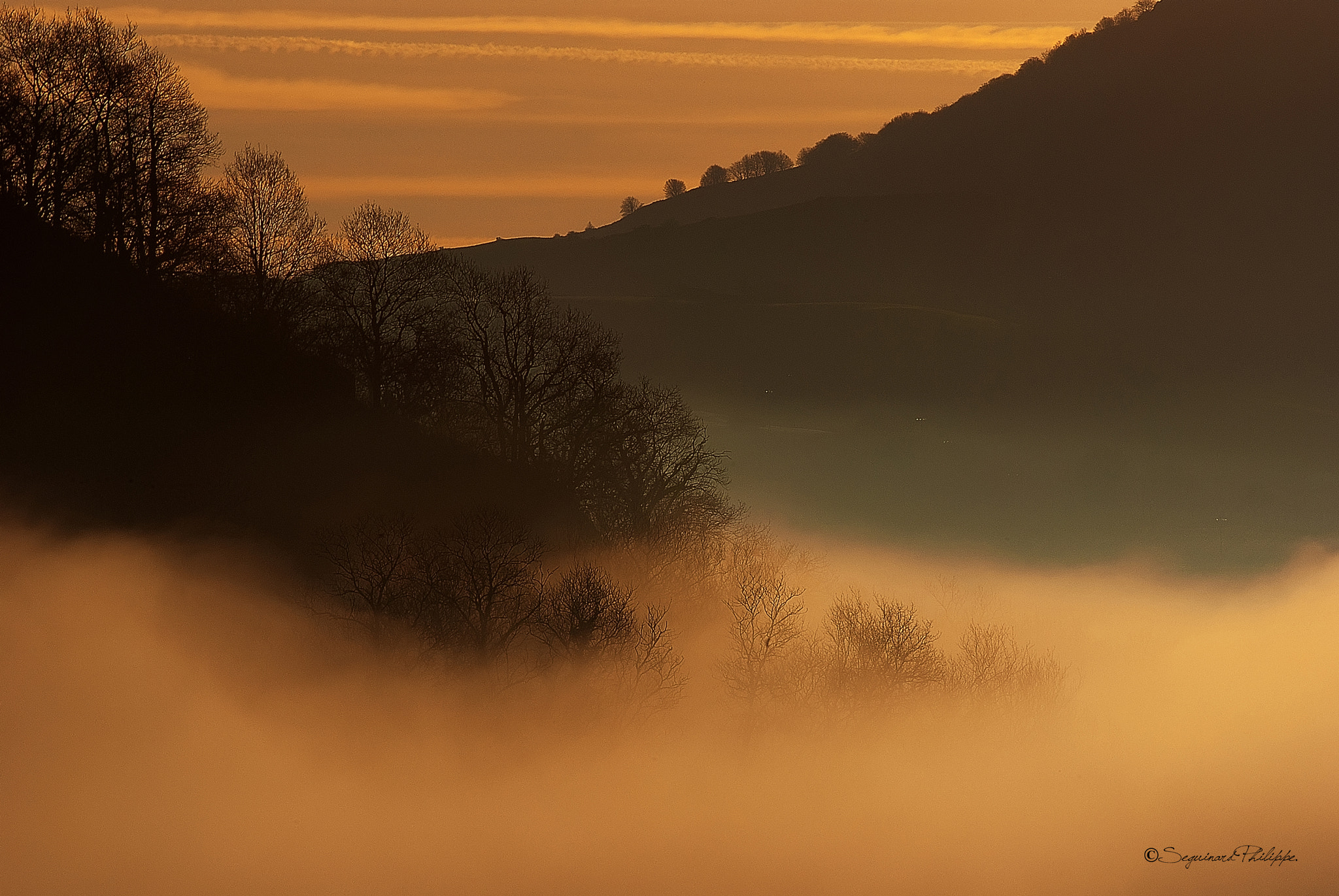 Pentax K10D + smc PENTAX-FA* 200mm F2.8 ED[IF] sample photo. Seguinard philippe photographie photography