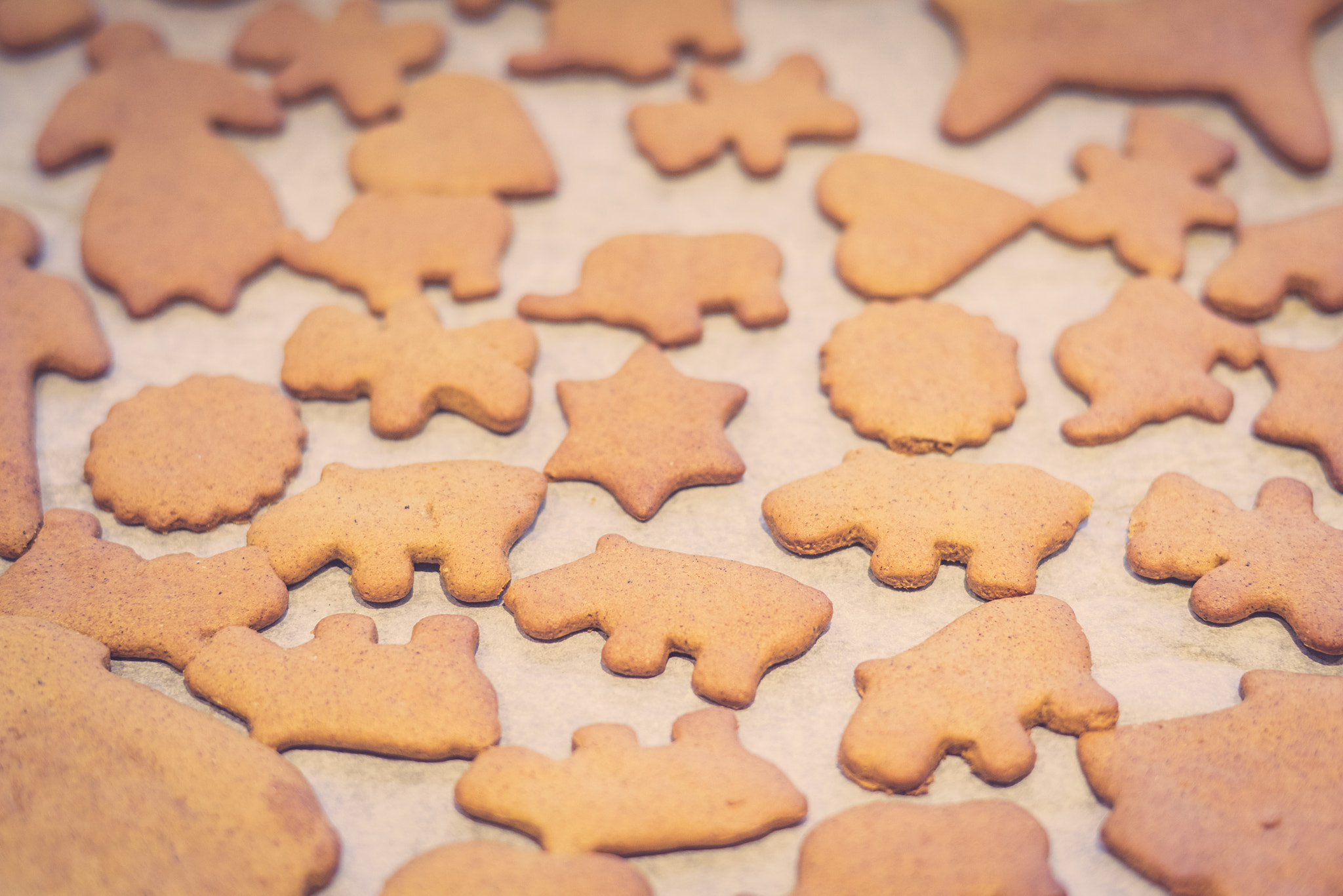 Sony a7R + Sony 50mm F1.4 sample photo. Xmas cookies on a sheet photography