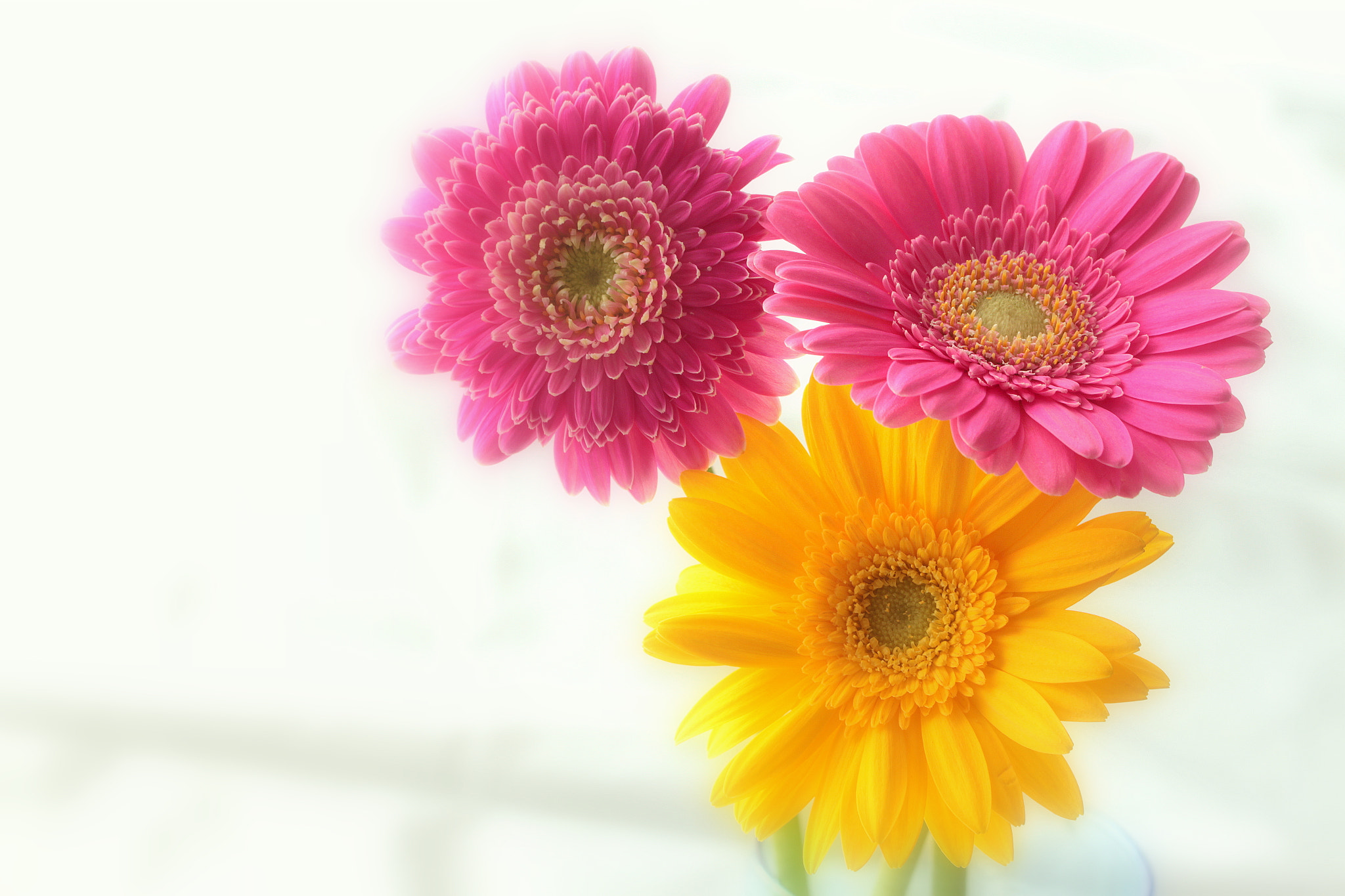 Canon EOS 650D (EOS Rebel T4i / EOS Kiss X6i) sample photo. Triple photography