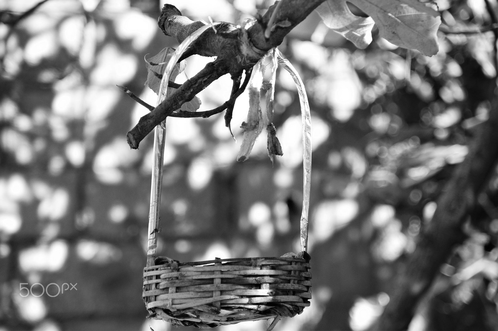 Pentax K-x sample photo. Old basket photography
