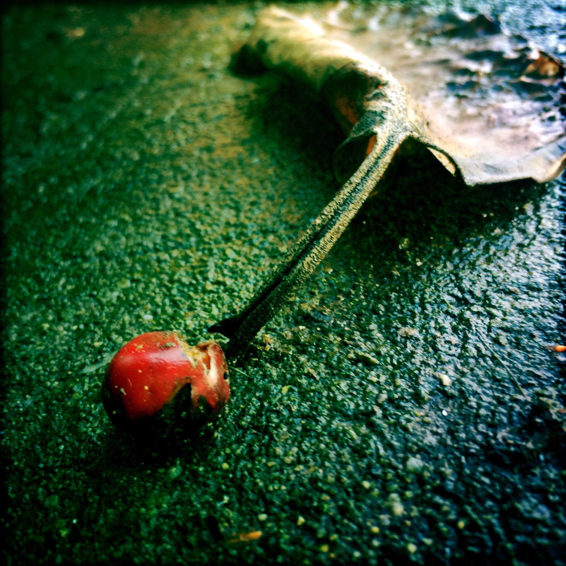 Hipstamatic 279 sample photo