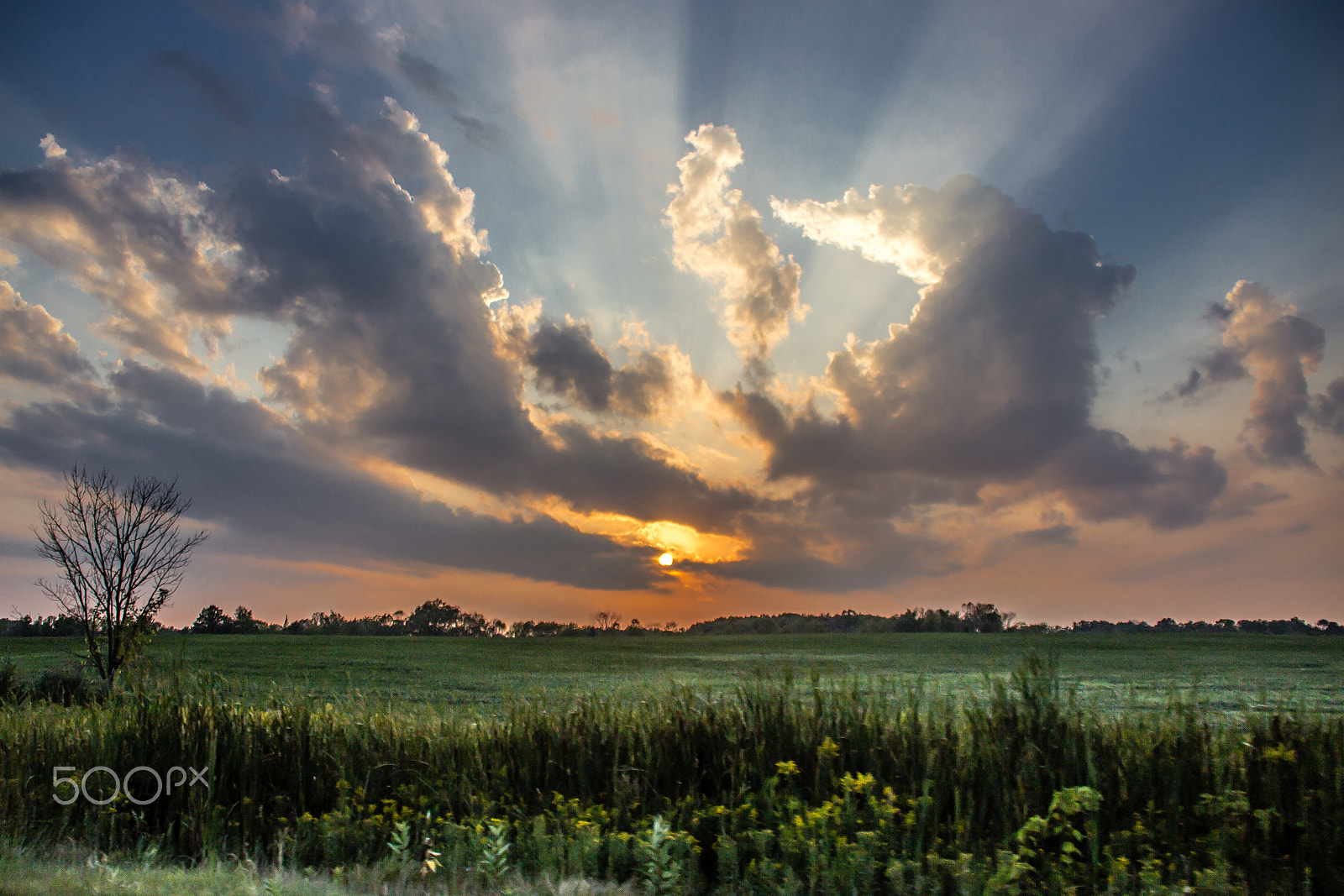 Canon EF 75-300mm F4.0-5.6 IS USM sample photo. Sun rays over south haven photography