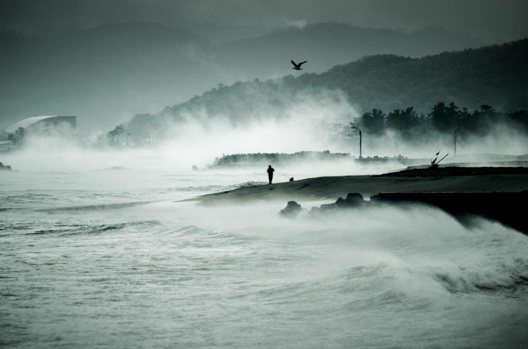 Pentax K-5 IIs + Sigma sample photo. Sea fog photography