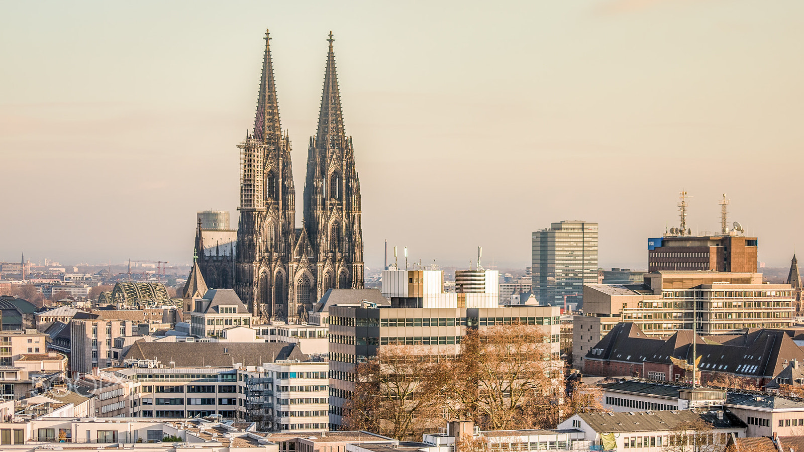 Sigma 55-200mm f/4-5.6 DC sample photo. [cologne] photography