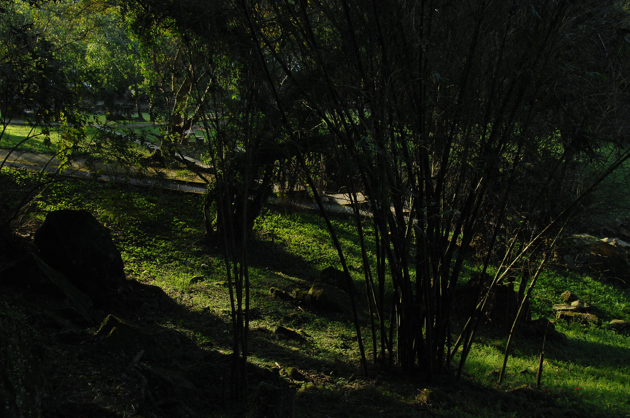 Nikon D2X sample photo. .. photography
