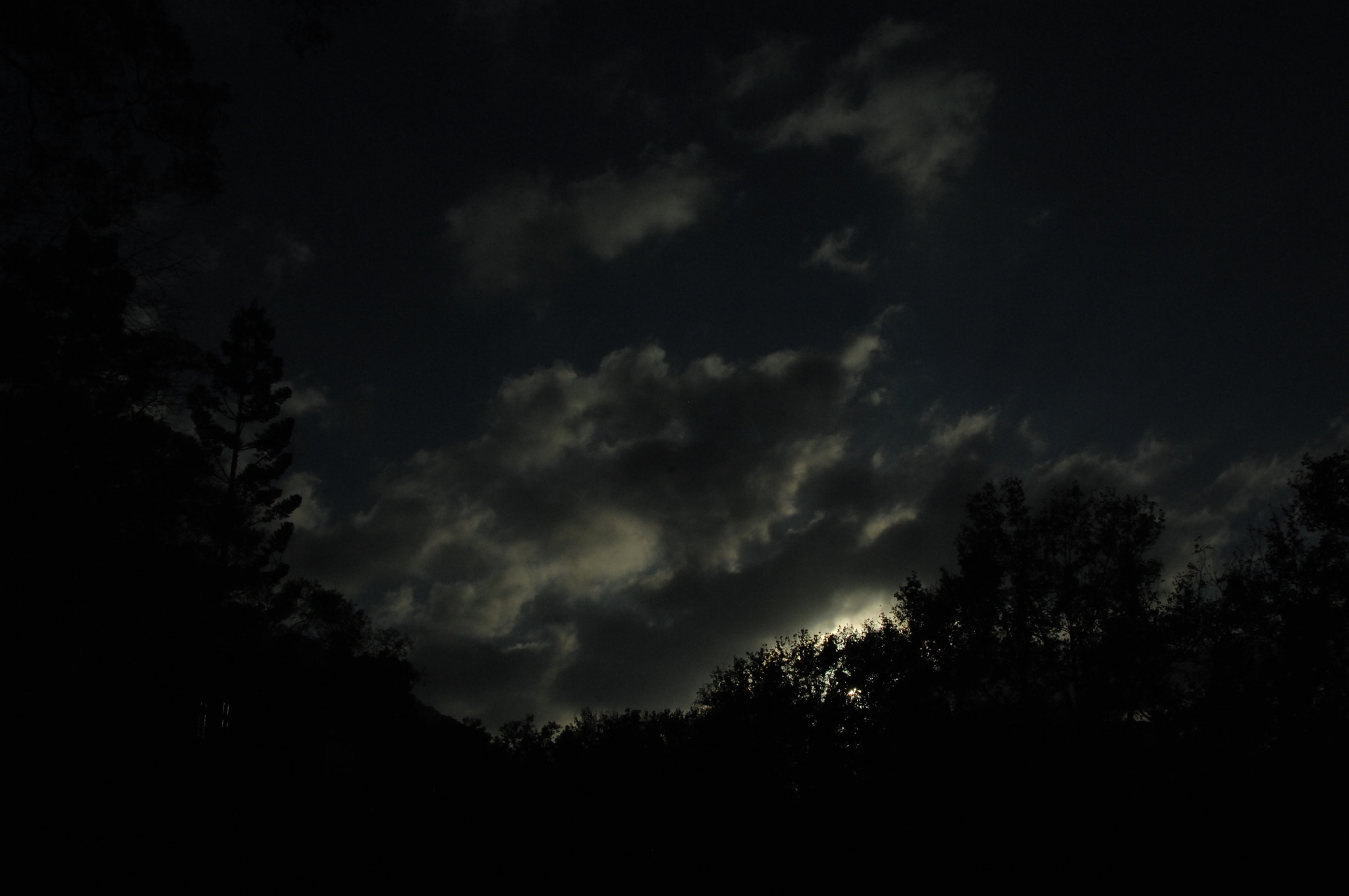 Nikon D2X sample photo. .. photography