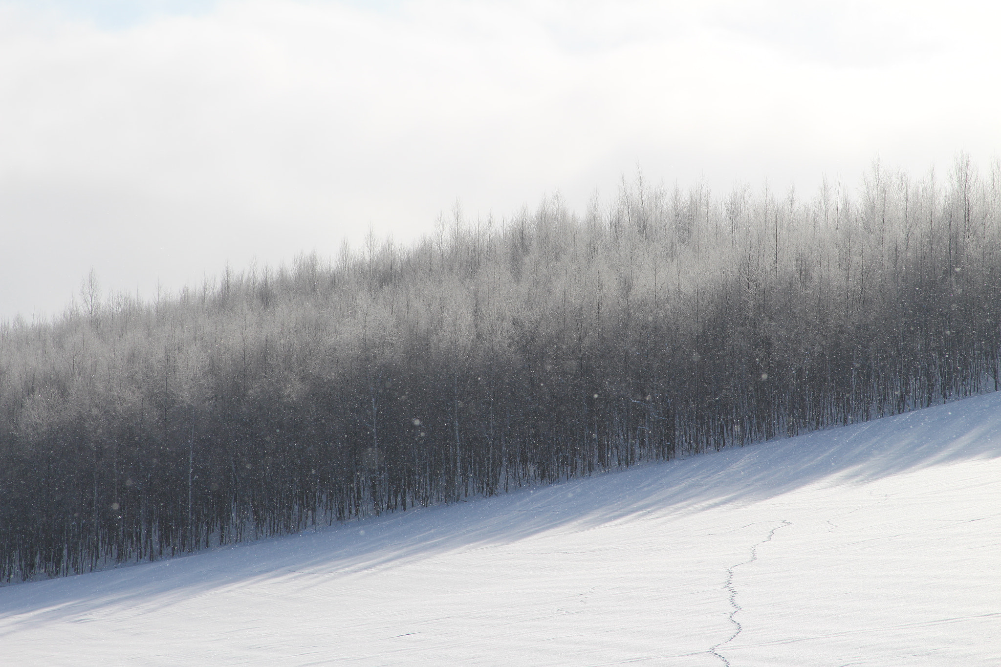 Canon EOS 700D (EOS Rebel T5i / EOS Kiss X7i) sample photo. Ice photography