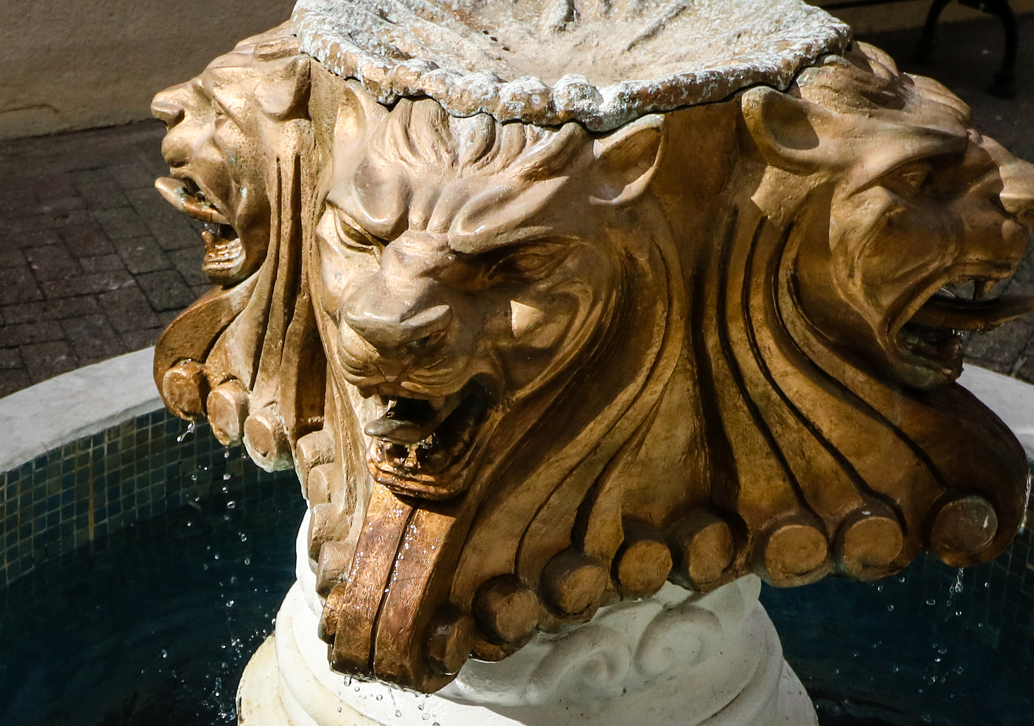 Canon EOS 760D (EOS Rebel T6s / EOS 8000D) sample photo. Spitting lion cerberus photography