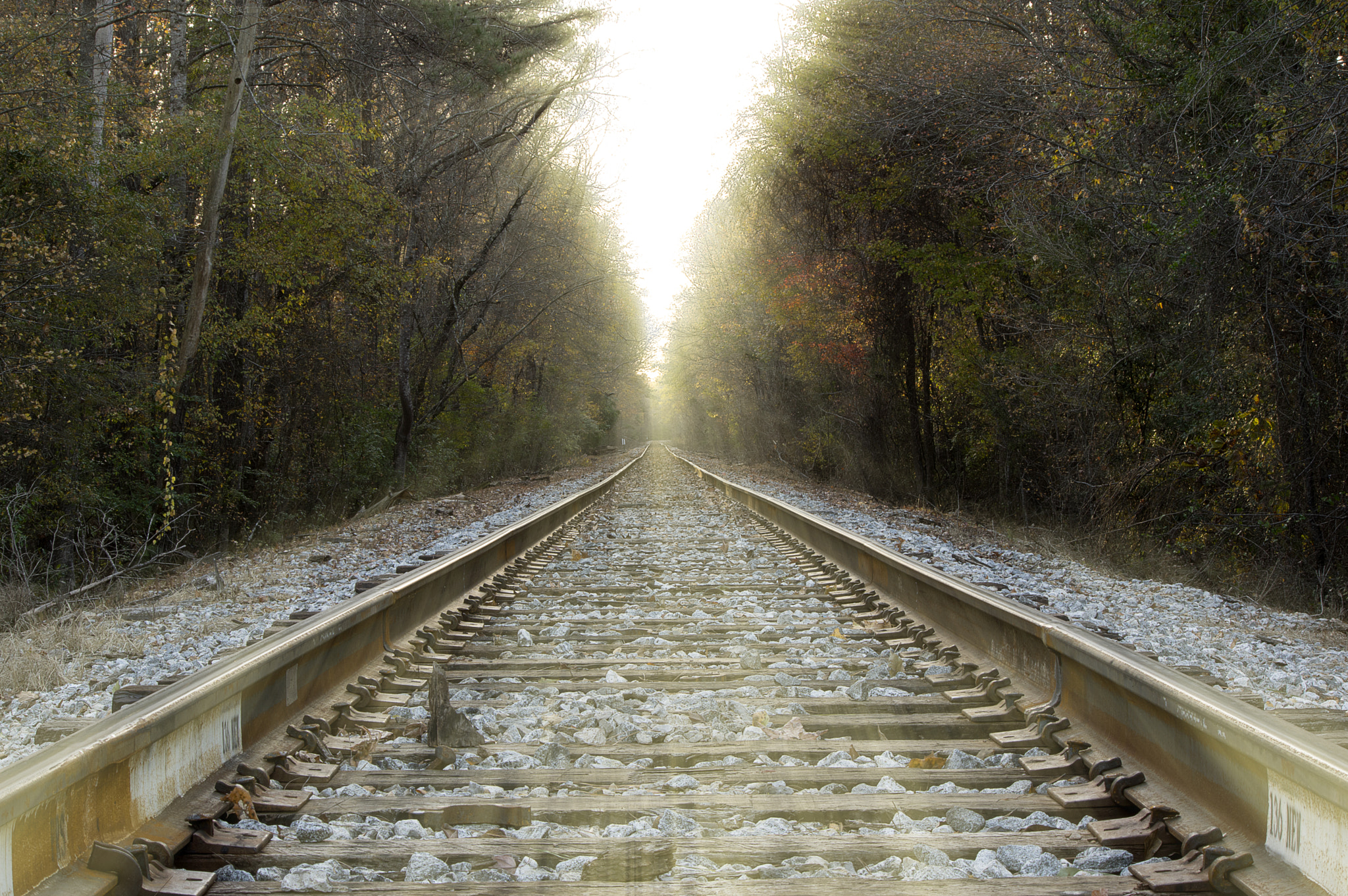 Pentax K-3 sample photo. On the tracks photography