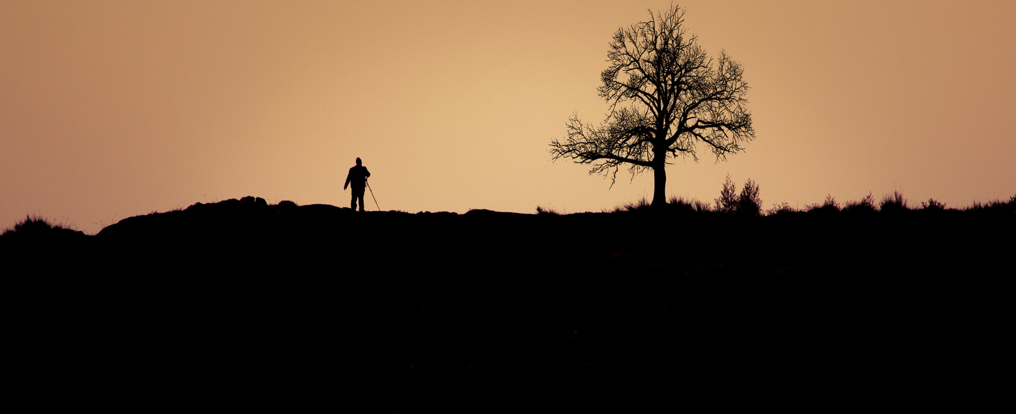 Canon EF 70-300mm F4-5.6L IS USM sample photo. Walk on a hill photography