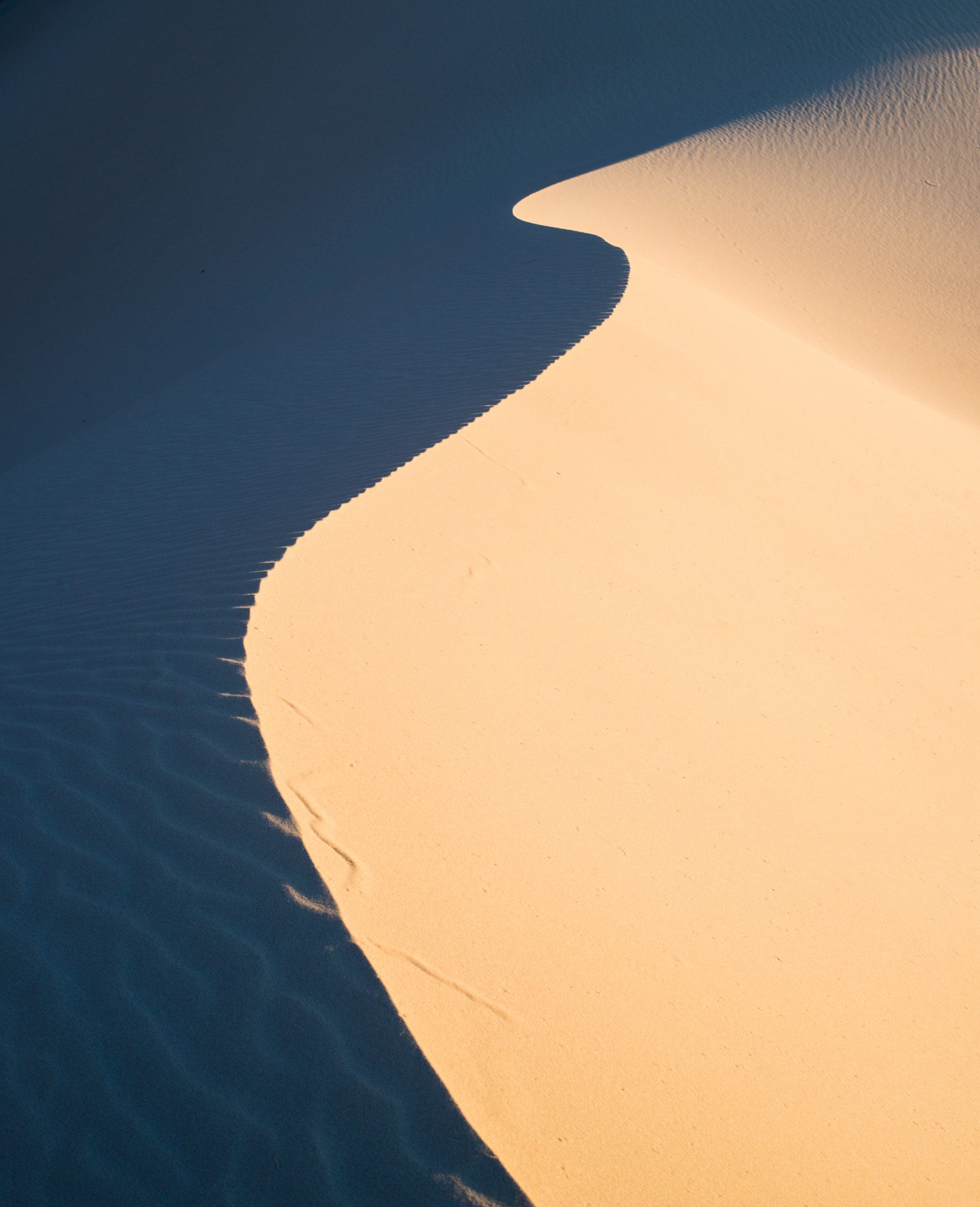 ZEISS Planar T* 50mm F1.4 sample photo. Duna in sinai desert photography