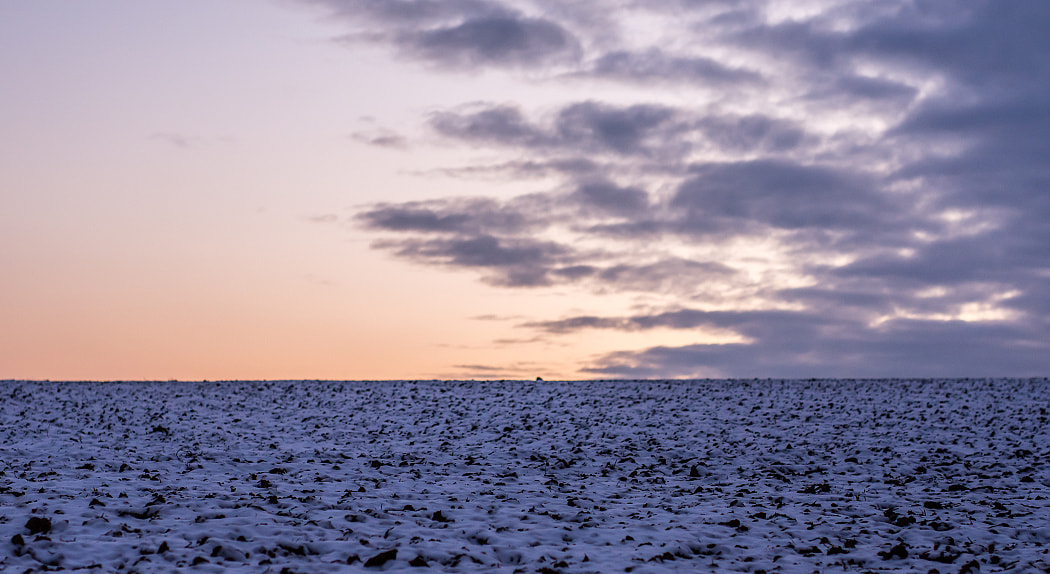 Nikon D7200 + Sigma 50mm F1.4 DG HSM Art sample photo. Dsc_3613.jpg photography
