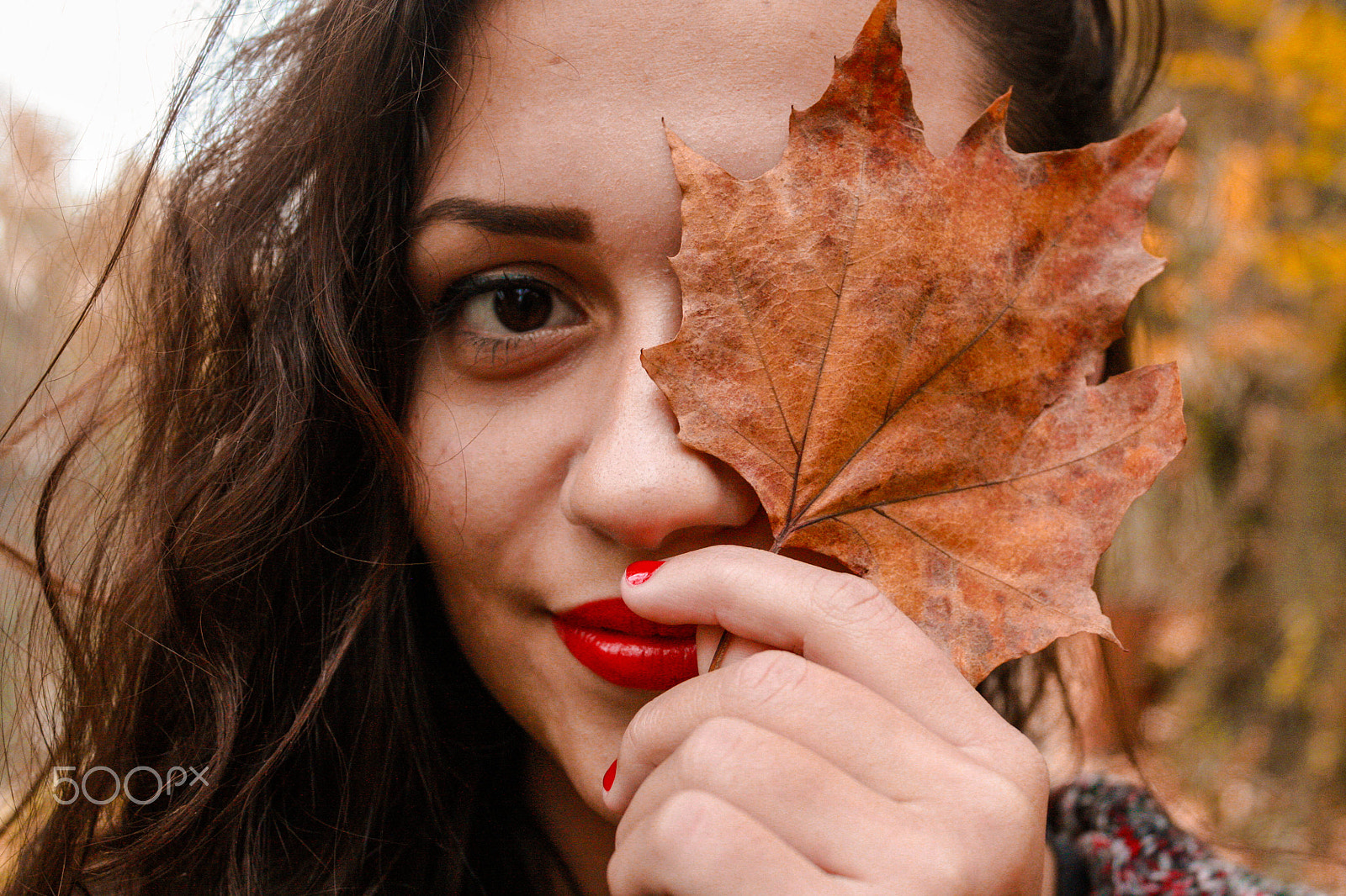 Canon EF-S 18-55mm F3.5-5.6 III sample photo. Andreea photography