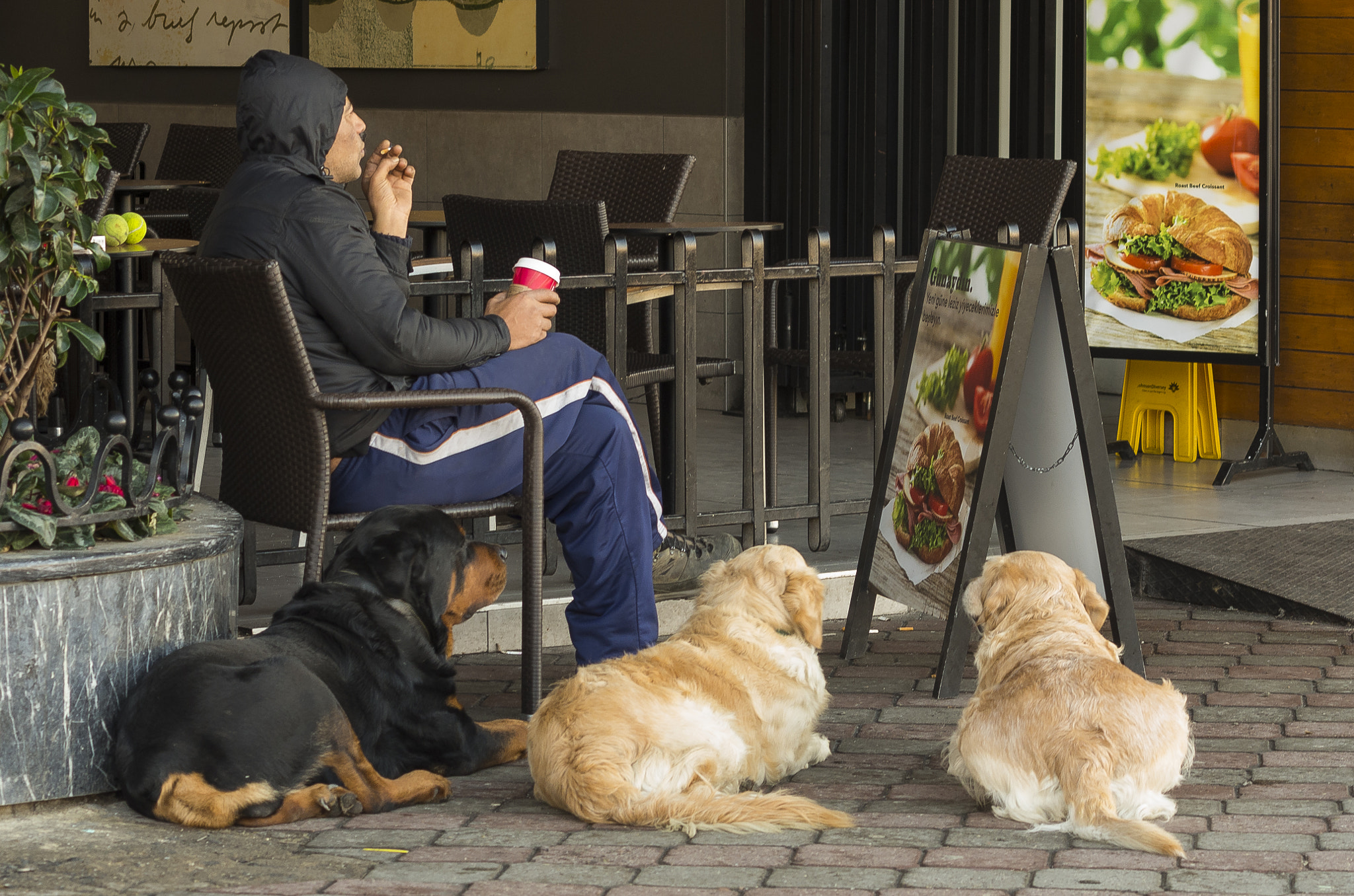 smc PENTAX-F 70-210mm F4-5.6 sample photo. What do you want to eat boys? photography