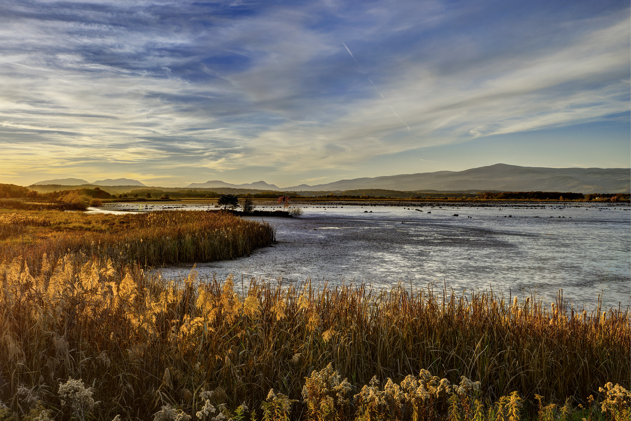 VR 16-35mm F/4.0 G sample photo. Autumn at the lakeside photography