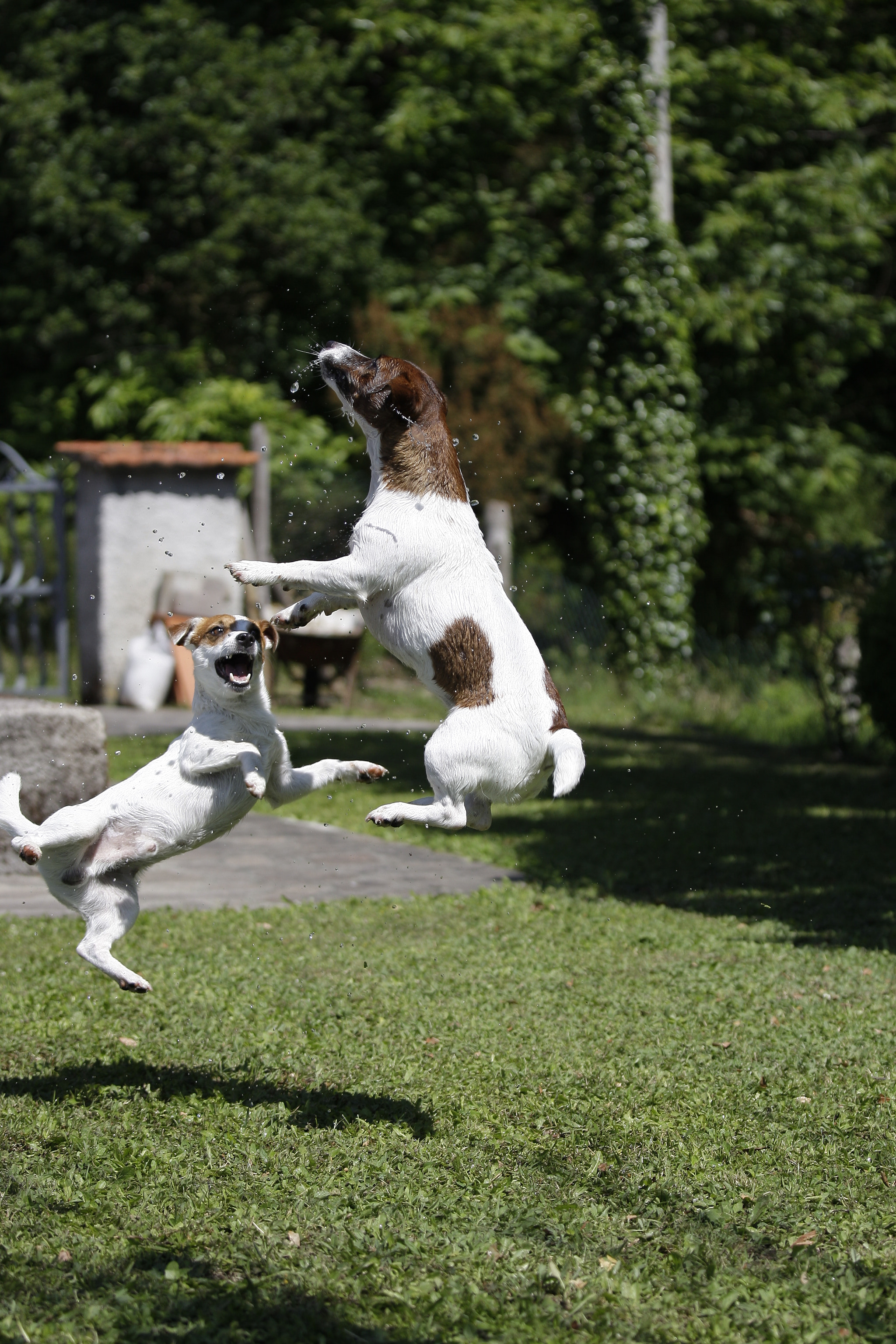 Canon EOS-1D Mark III sample photo. Yannick e gwenny alle prese con gli schizzi photography