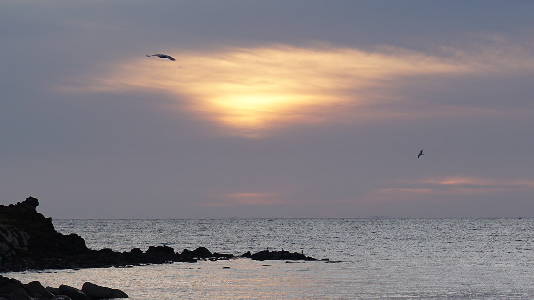 Sony ILCA-77M2 + Minolta AF 50mm F1.4 [New] sample photo. Mornington pier sunset photography