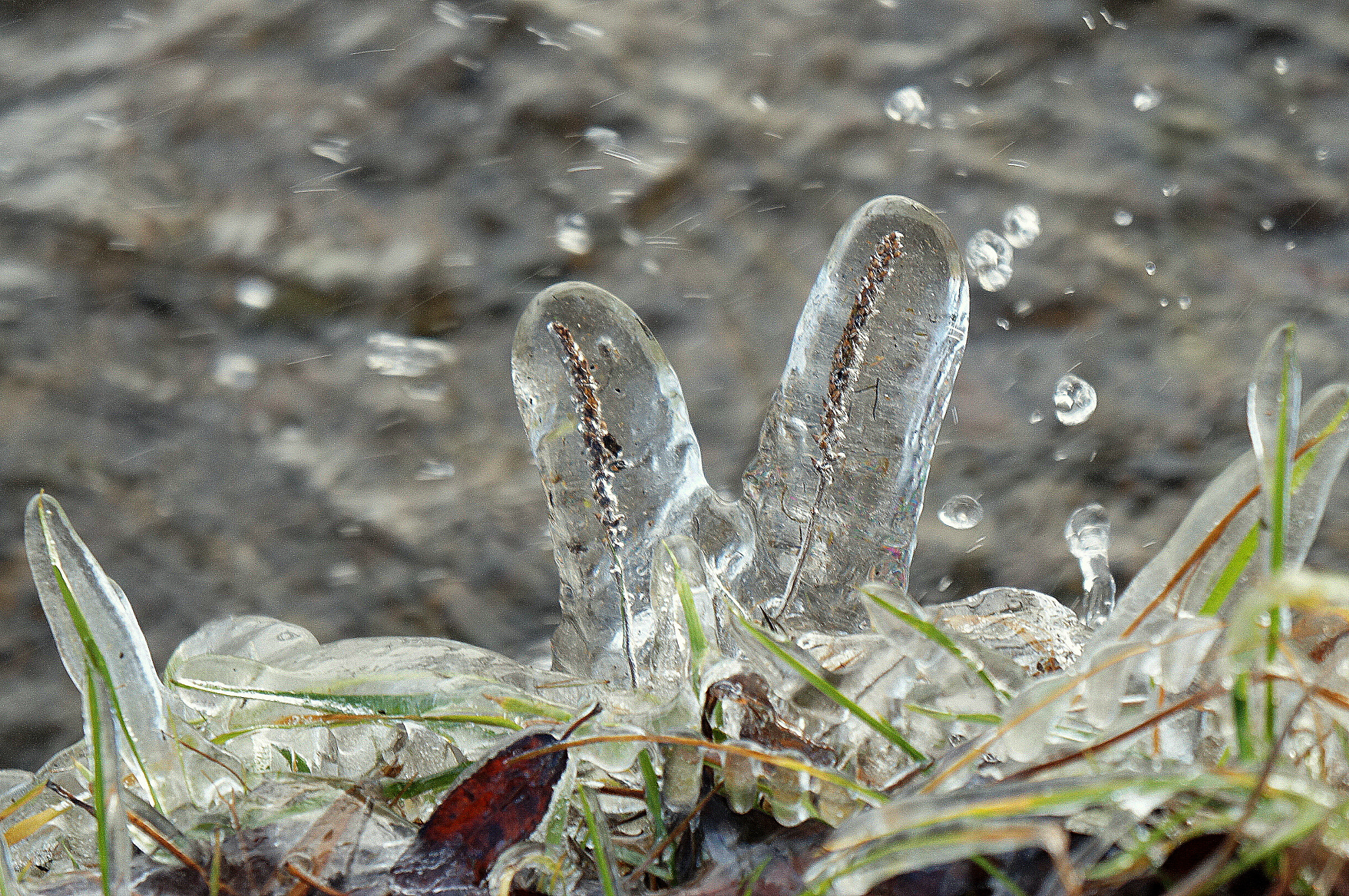 Sony Alpha NEX-C3 sample photo. The first ice photography