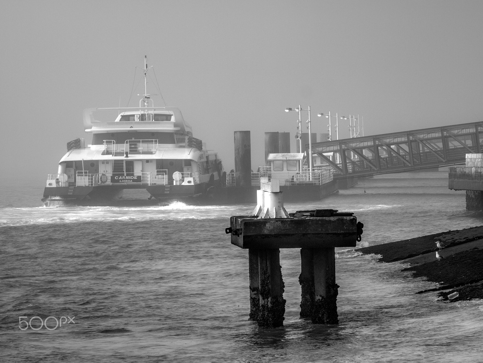 Olympus E-420 (EVOLT E-420) sample photo. Barreirense photography