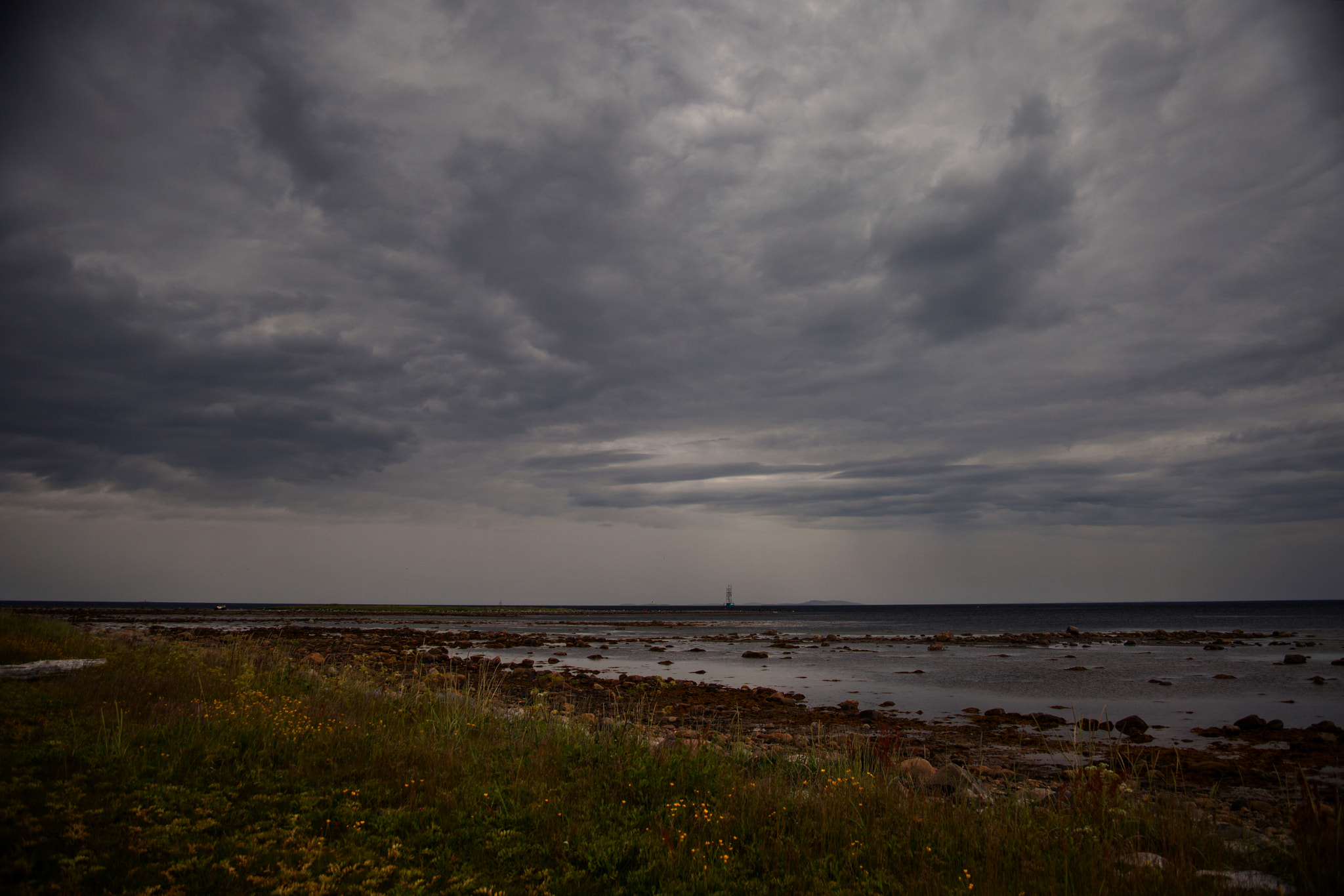 Canon EF 28-70mm f/3.5-4.5 sample photo. Summer is the color of dark silver photography