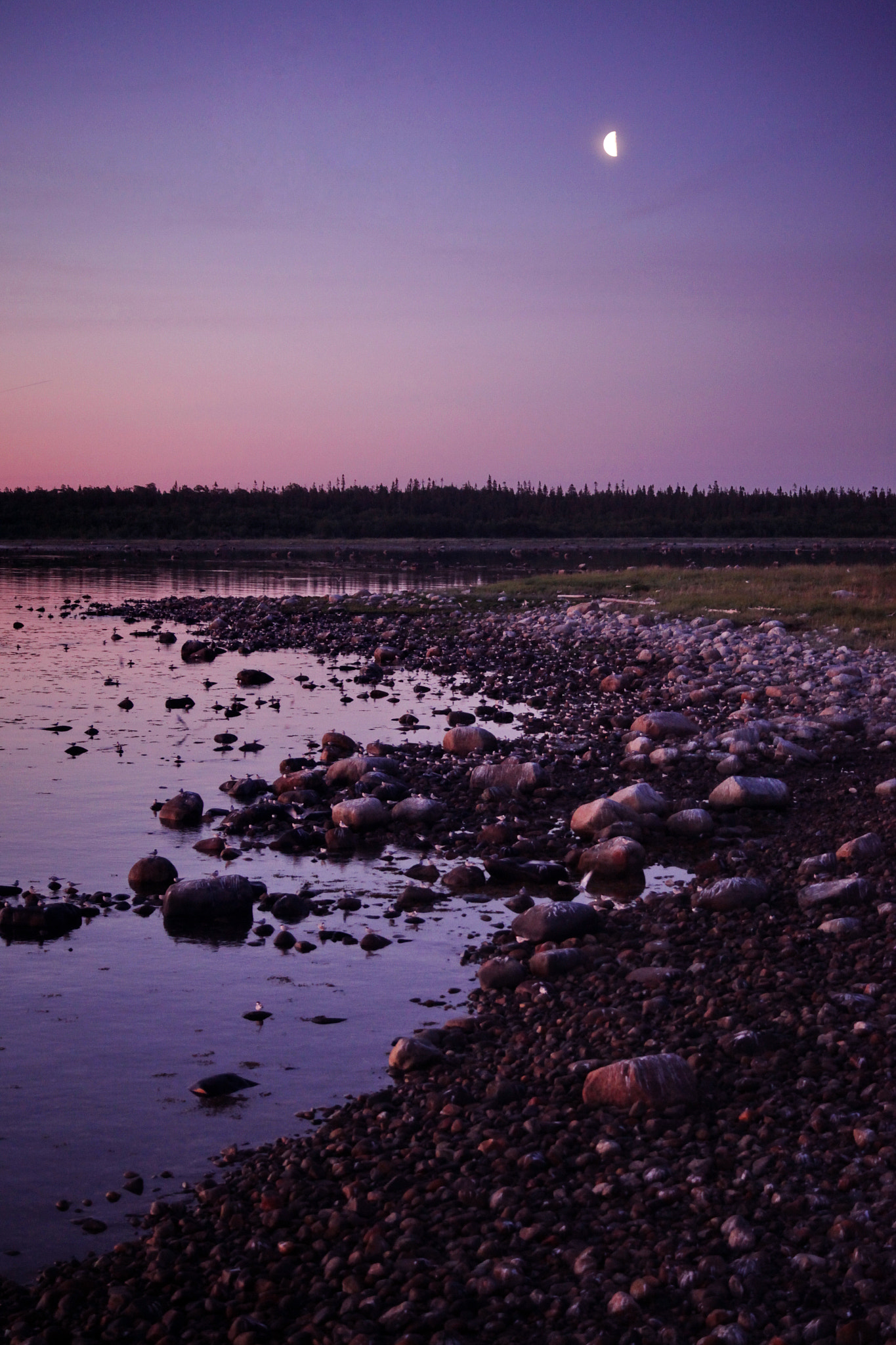 Canon EF 28-70mm f/3.5-4.5 sample photo. Night on the island of terns photography