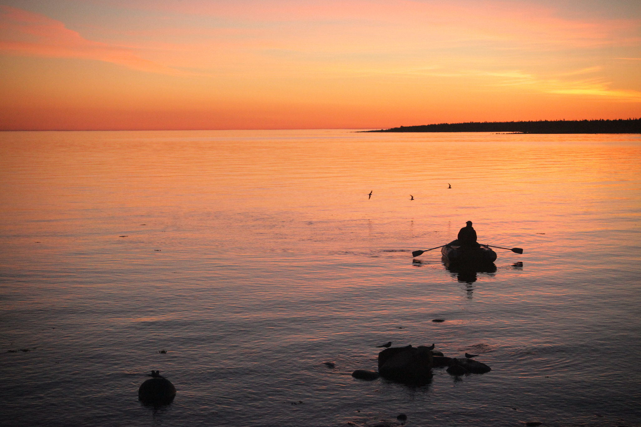 Canon EOS 5D Mark II + Canon EF 28-70mm f/3.5-4.5 sample photo. Fisherman and terns photography