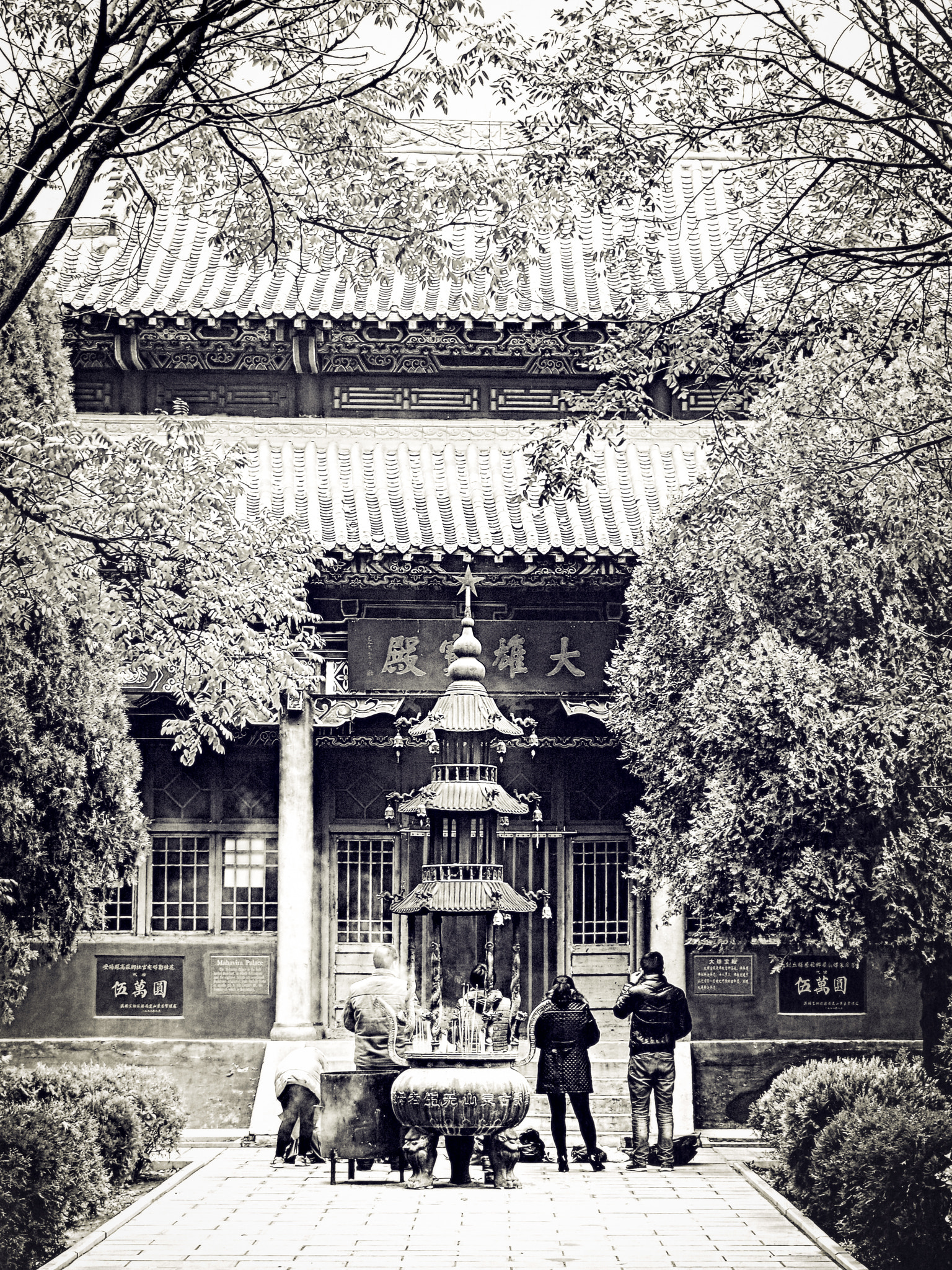 Pentax K-01 sample photo. 编辑 photography