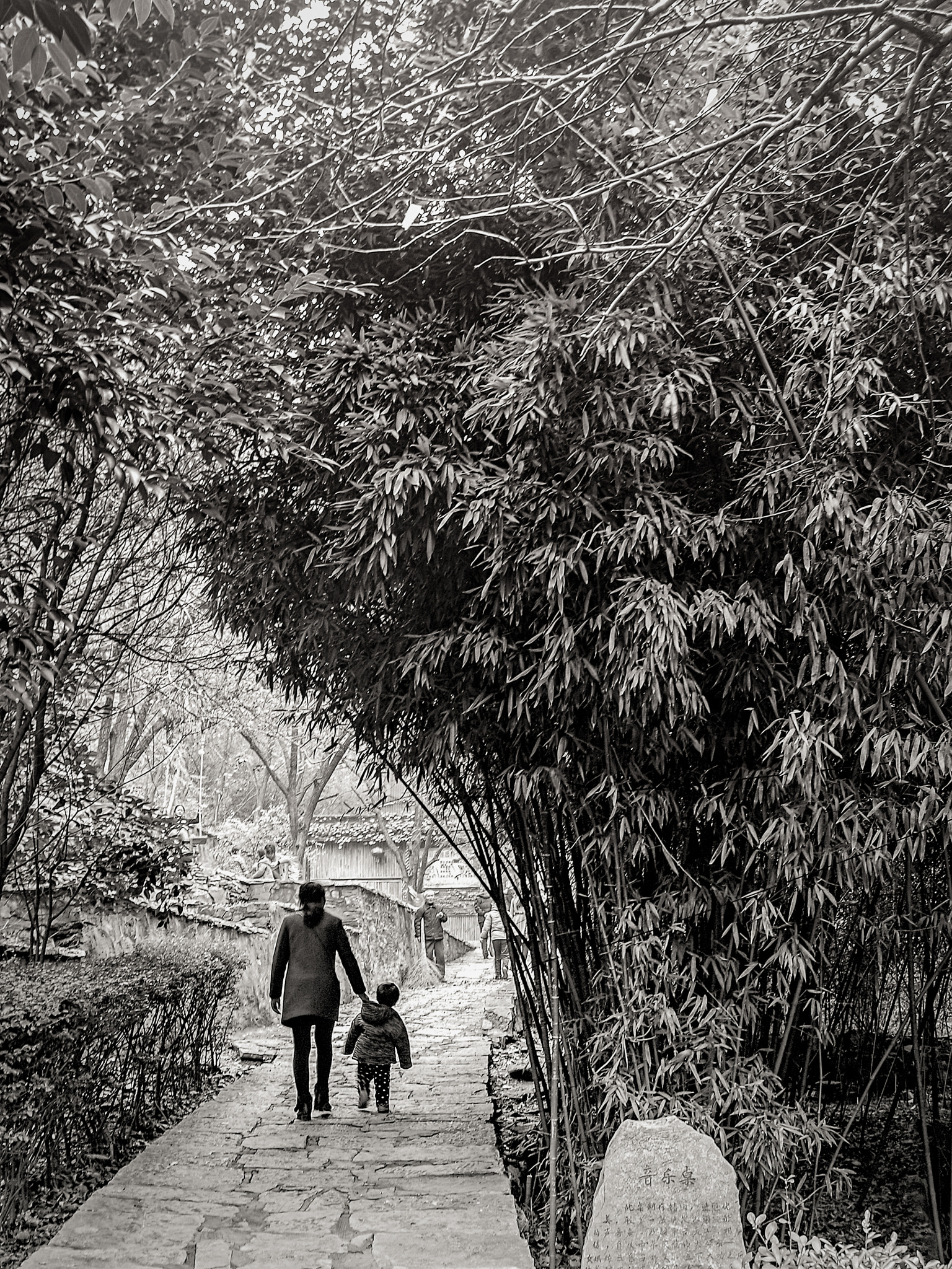 Pentax K-01 sample photo. 编辑 photography