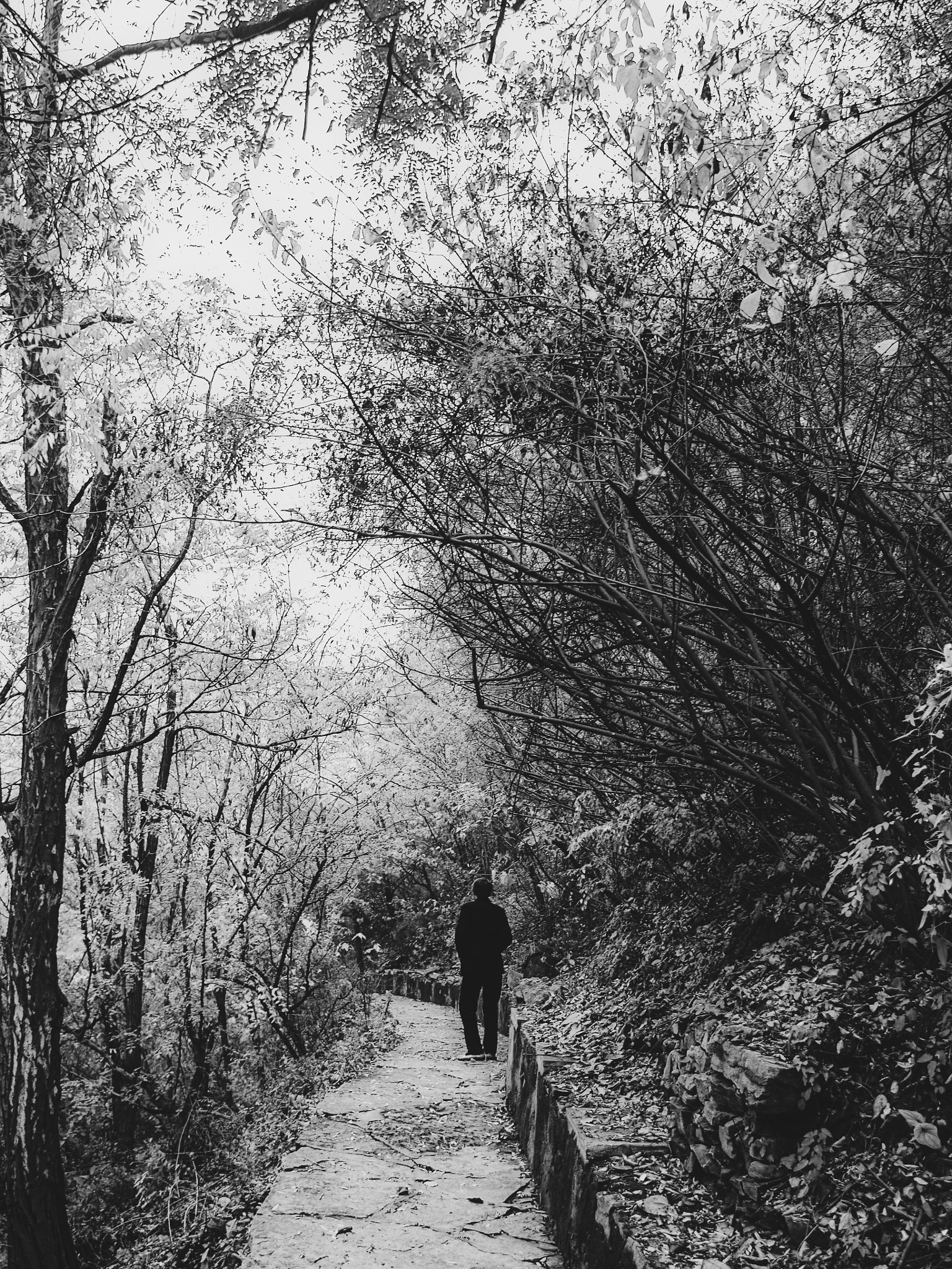 Pentax K-01 sample photo. 编辑 photography