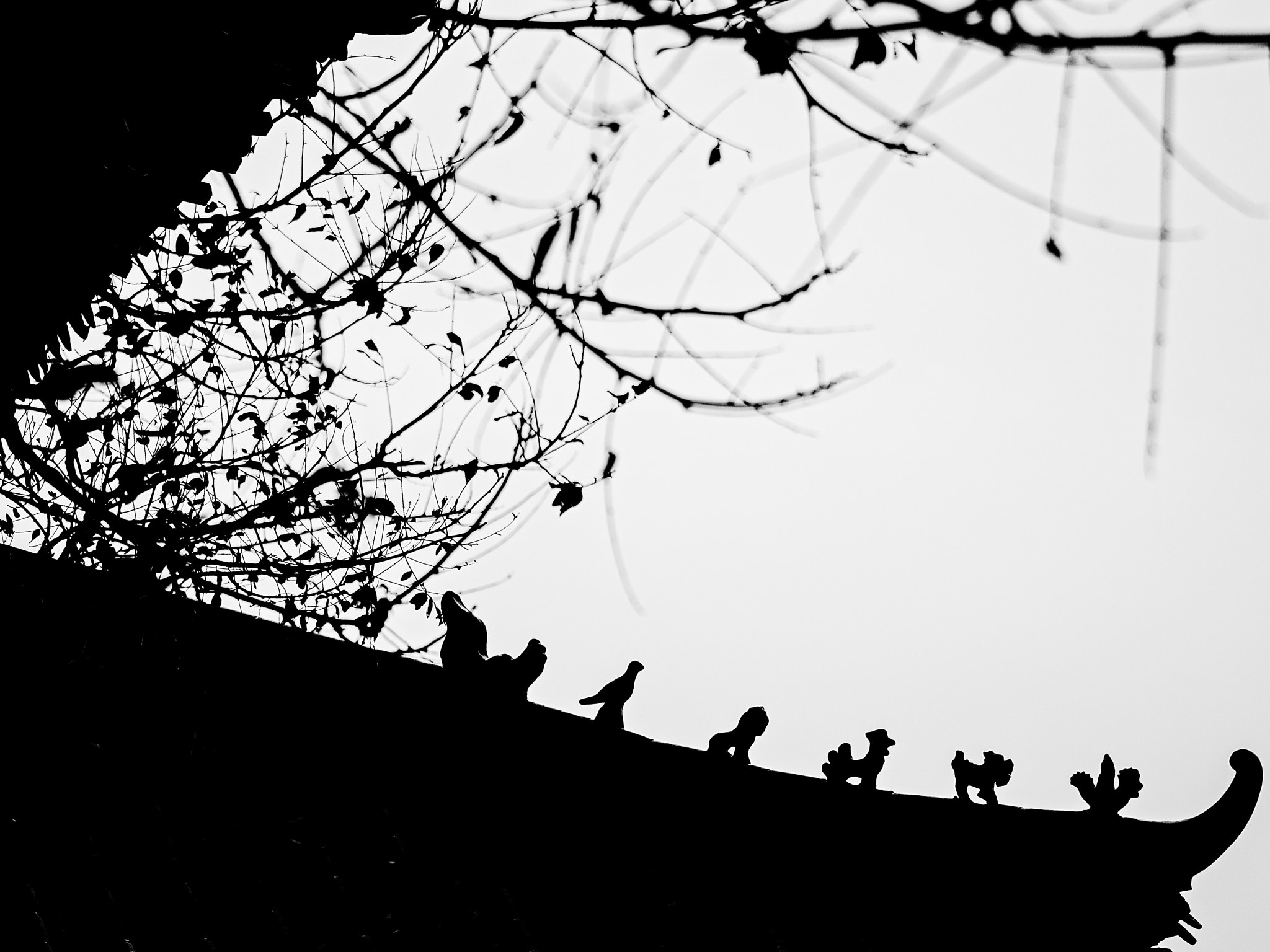 Pentax K-01 sample photo. 编辑 photography