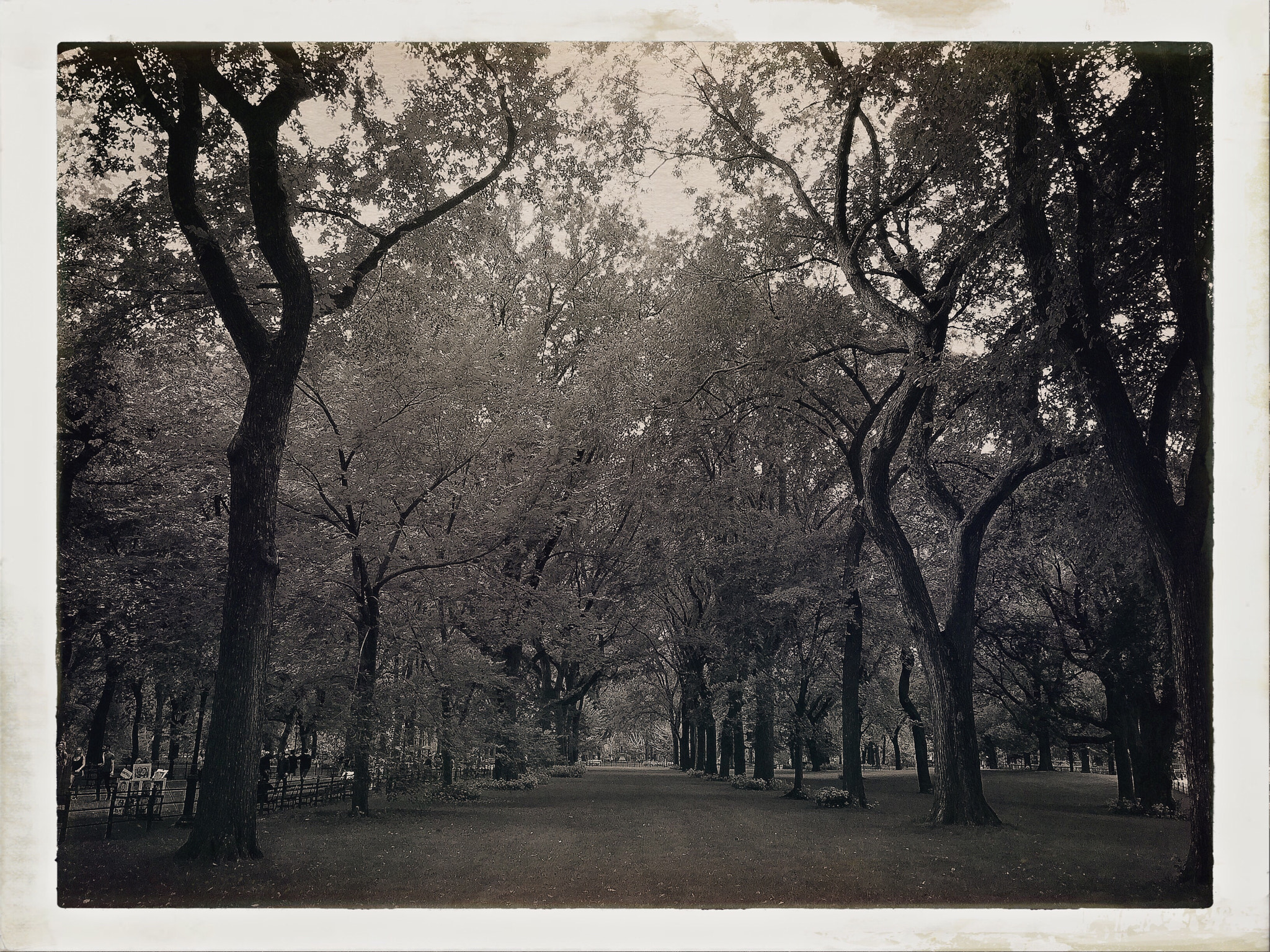 Hipstamatic 301 sample photo