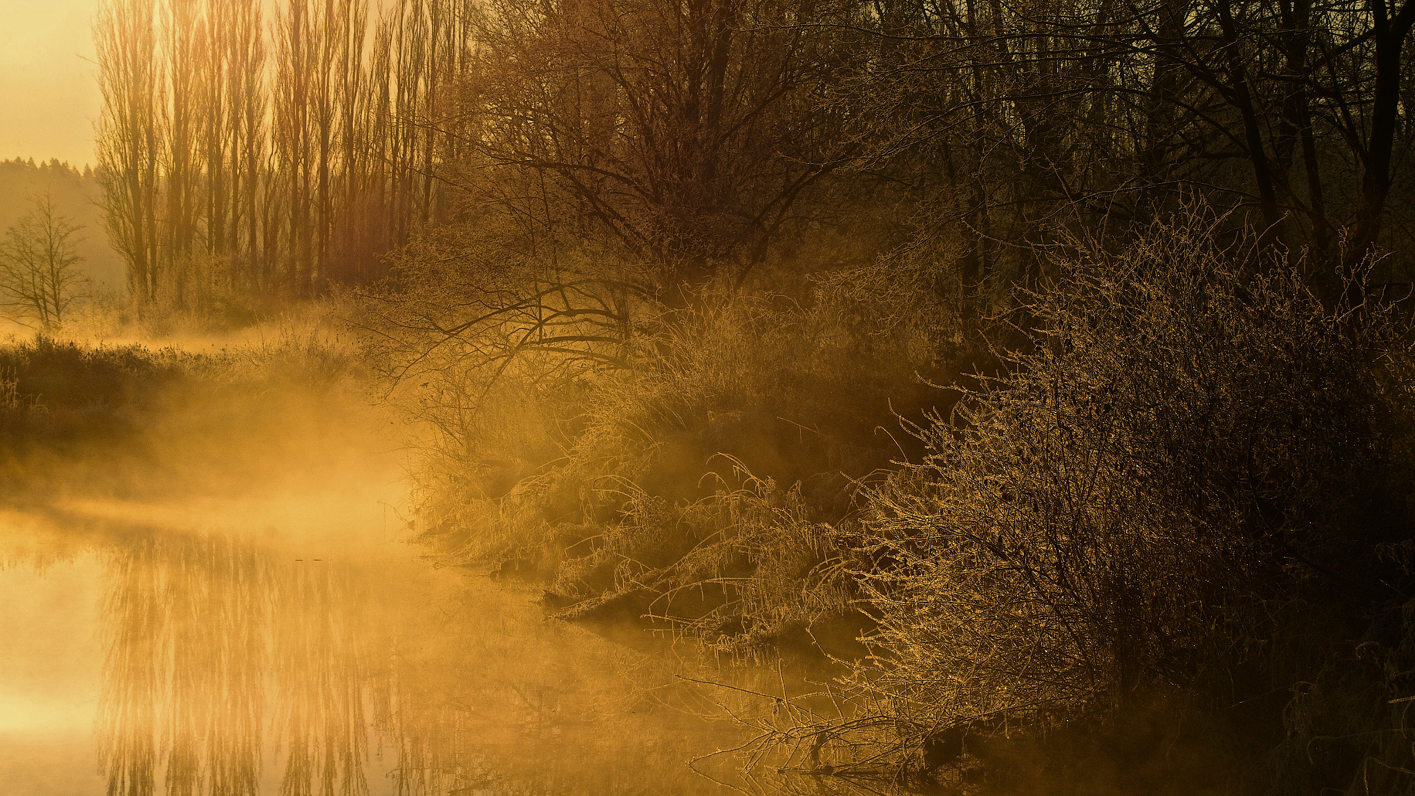 Pentax K-5 + smc PENTAX-FA J 75-300mm F4.5-5.8 AL sample photo. A hint of frost photography