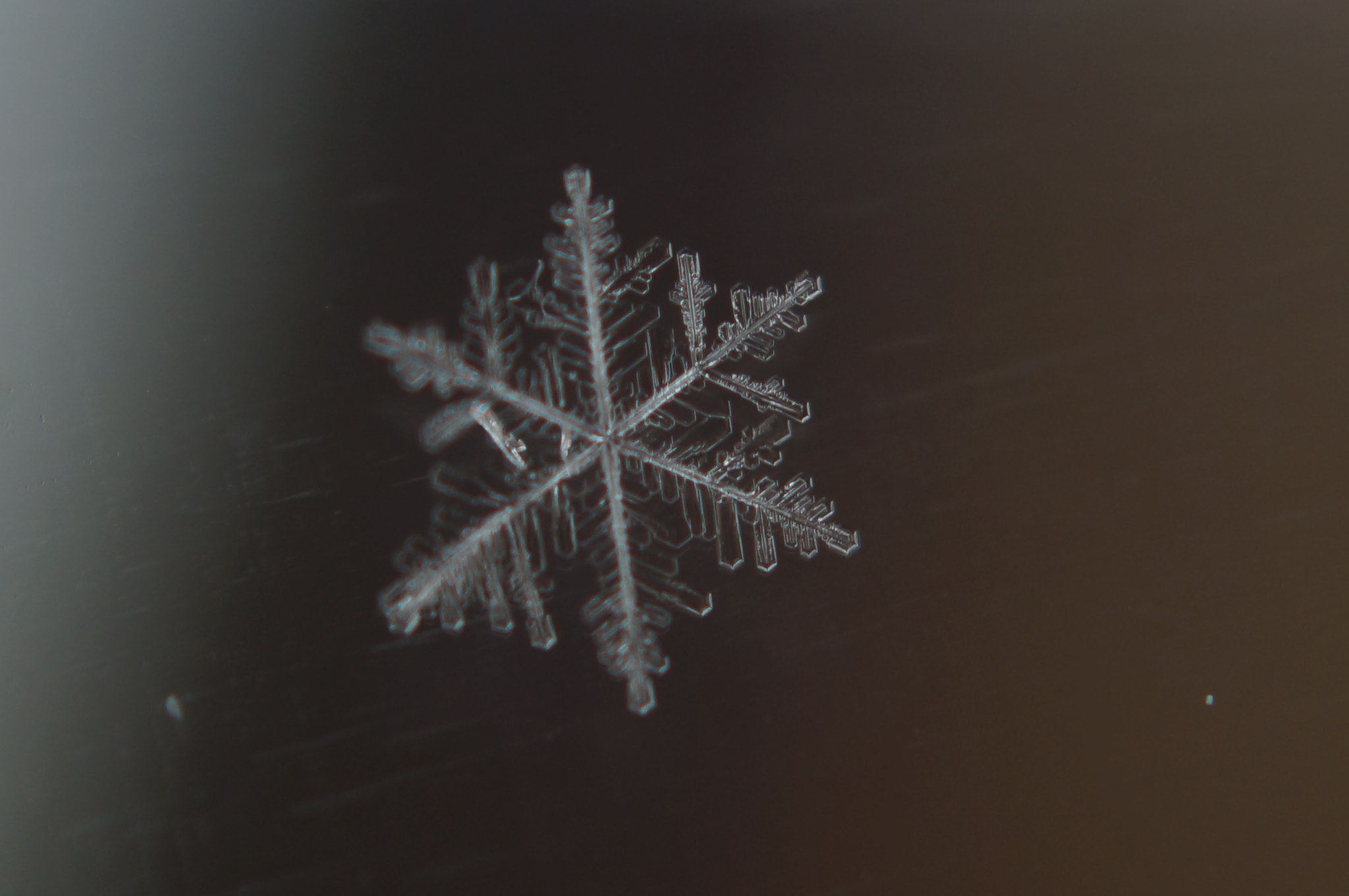 Sony SLT-A37 + Sony DT 30mm F2.8 Macro SAM sample photo. 11/27/15 snowflakes 4 photography