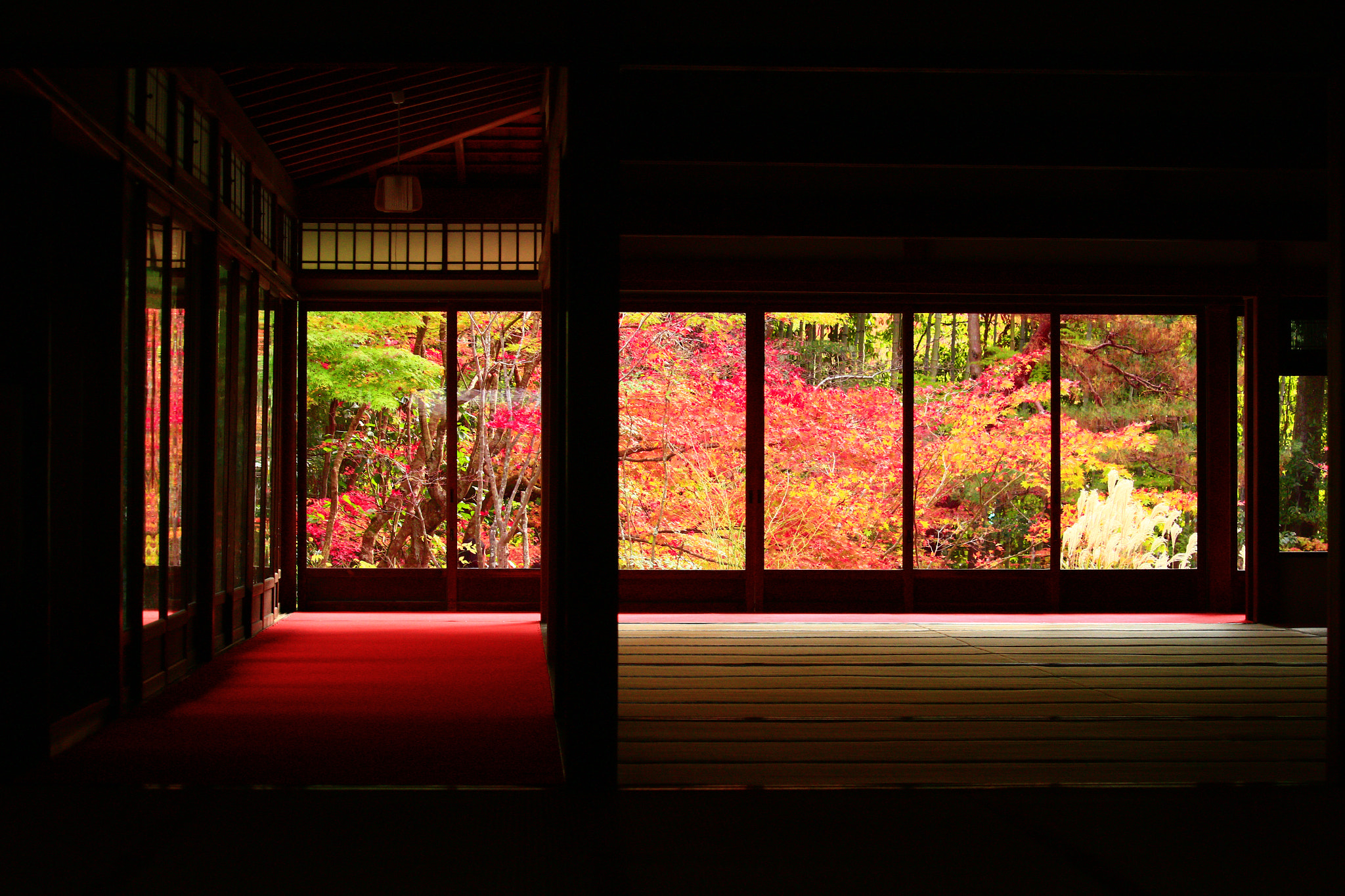 Canon EF-S 55-250mm F4-5.6 IS STM sample photo. Autumn in kyoto photography