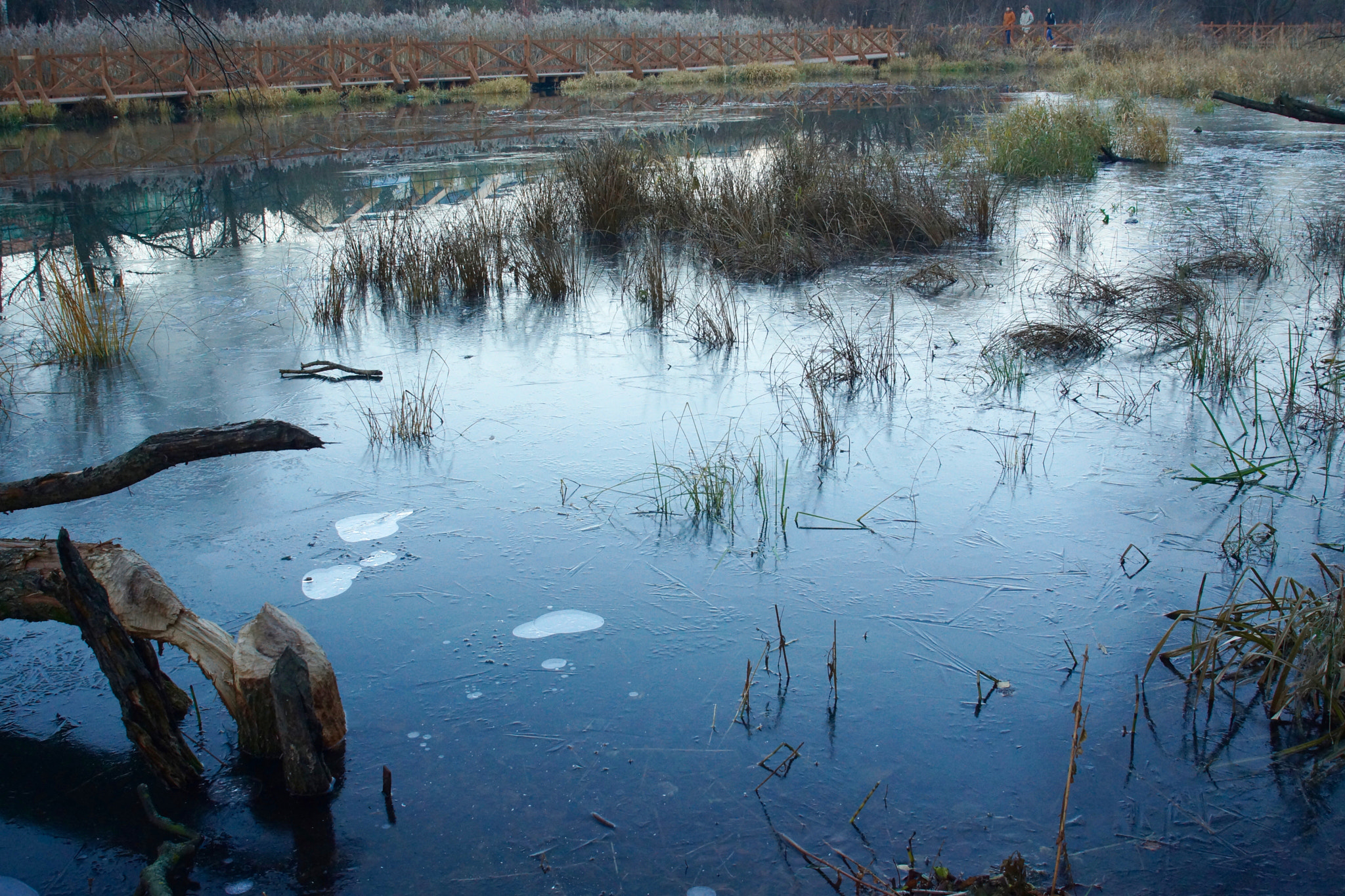 Minolta/Sony AF 24-105mm F3.5-4.5 (D) sample photo. Thin ice photography